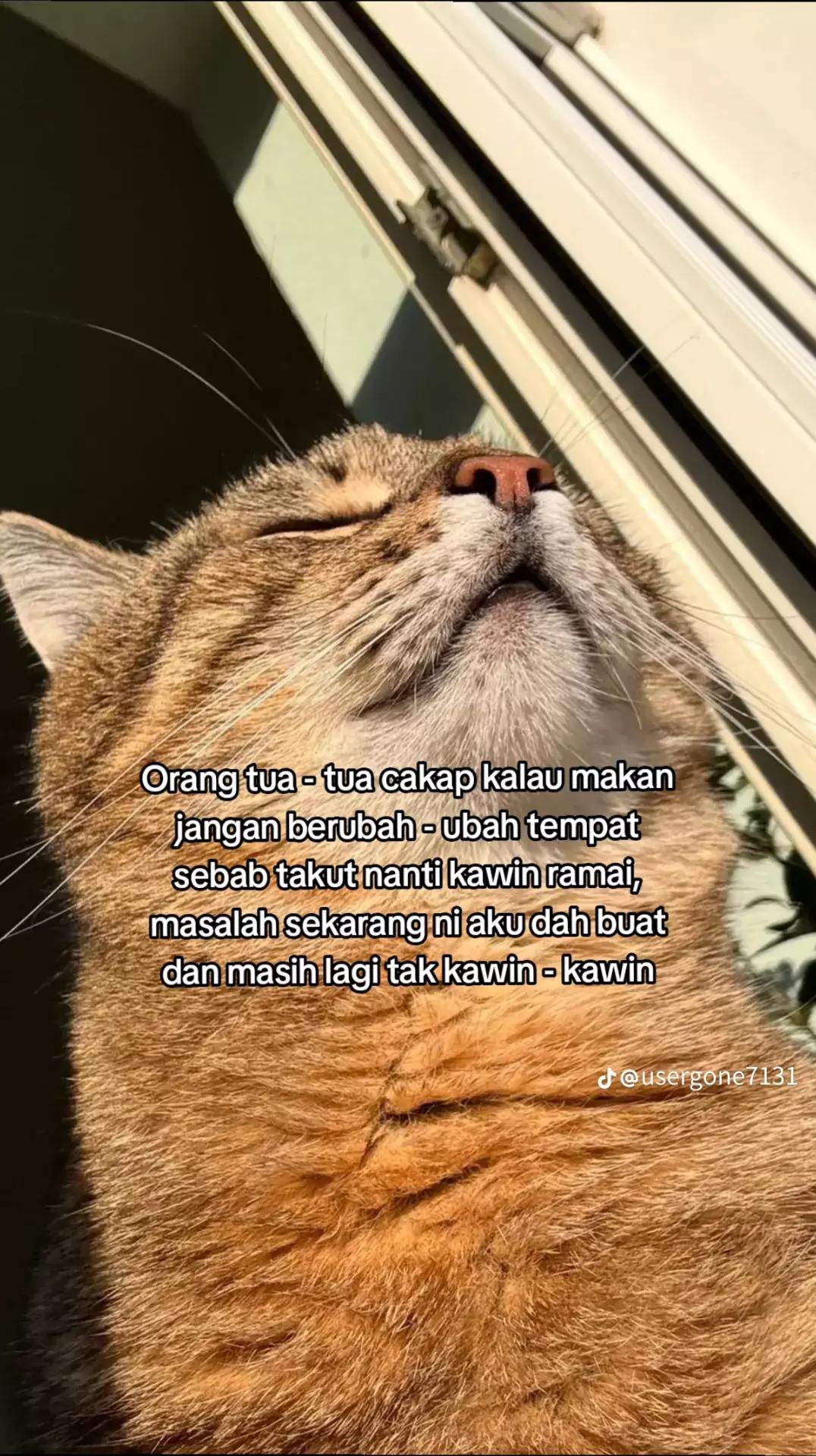 @fariz