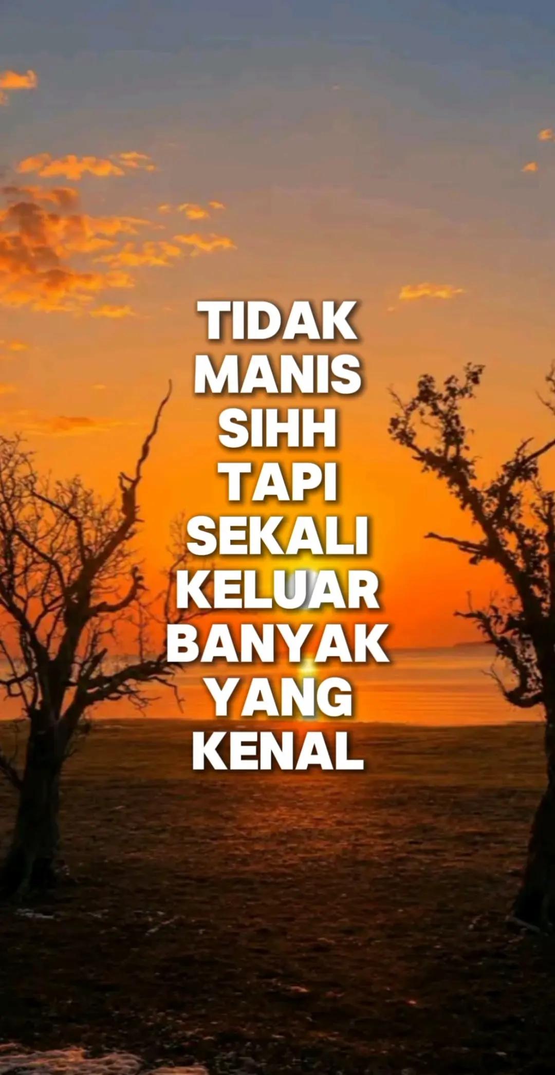 @aldisanda