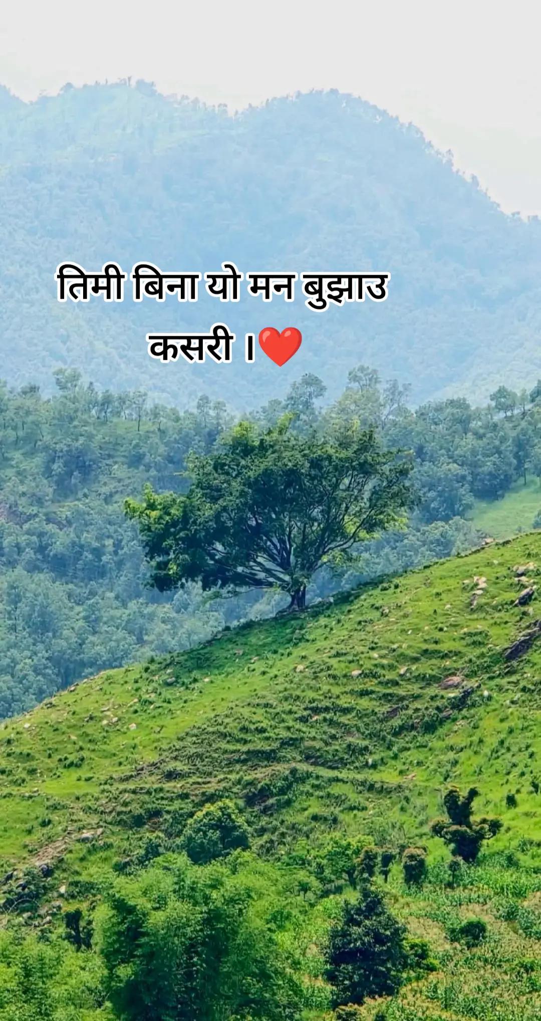 @Rasida khan