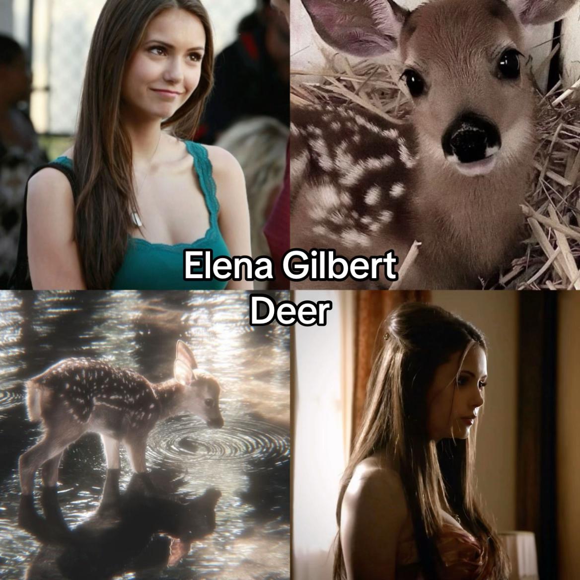 @Katherine Pierce