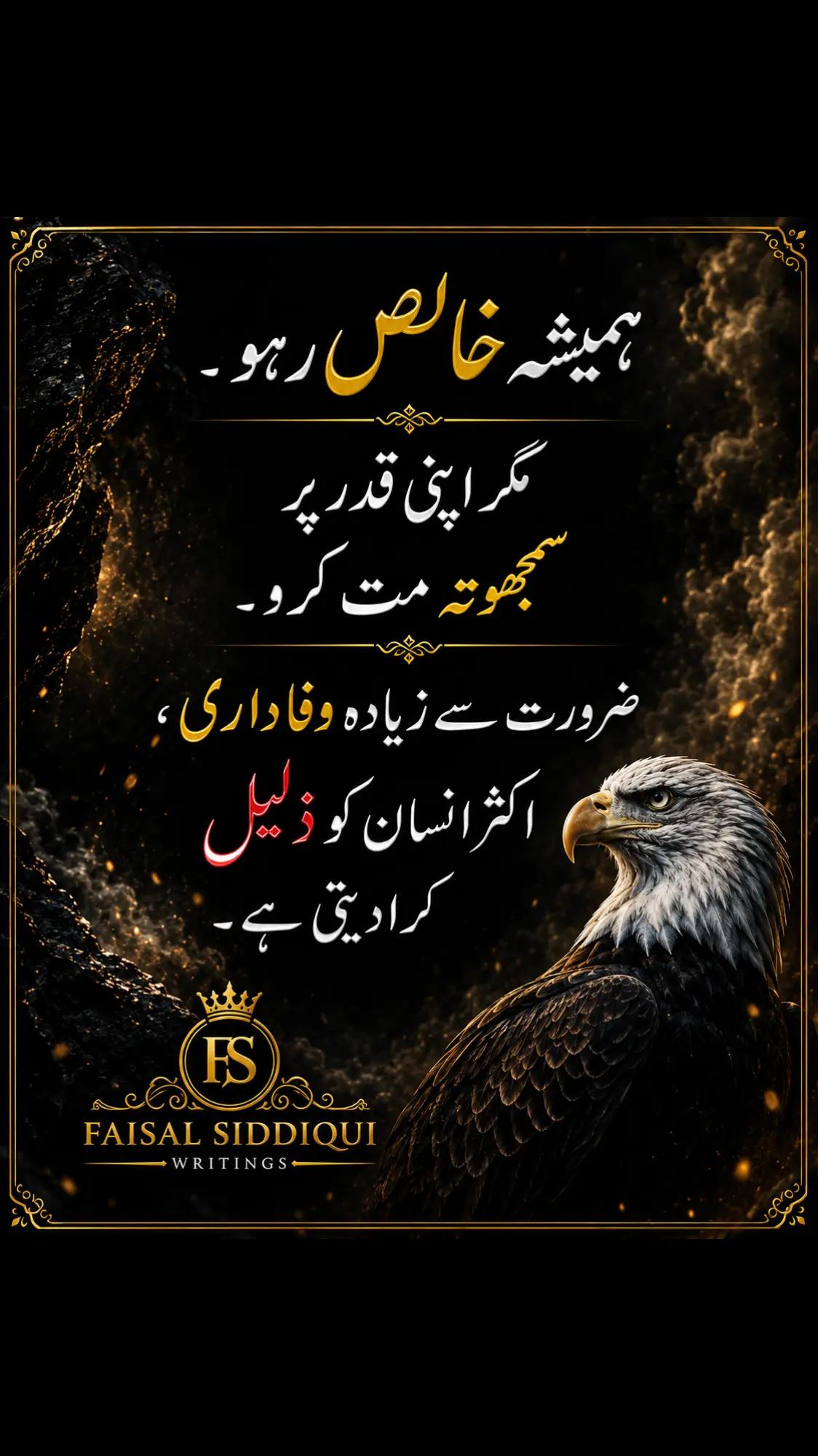 @faisal.siddqui125