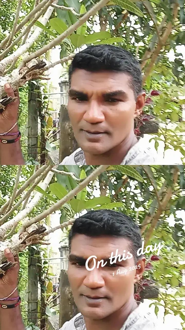 @Ramanayaka Ramanayaka