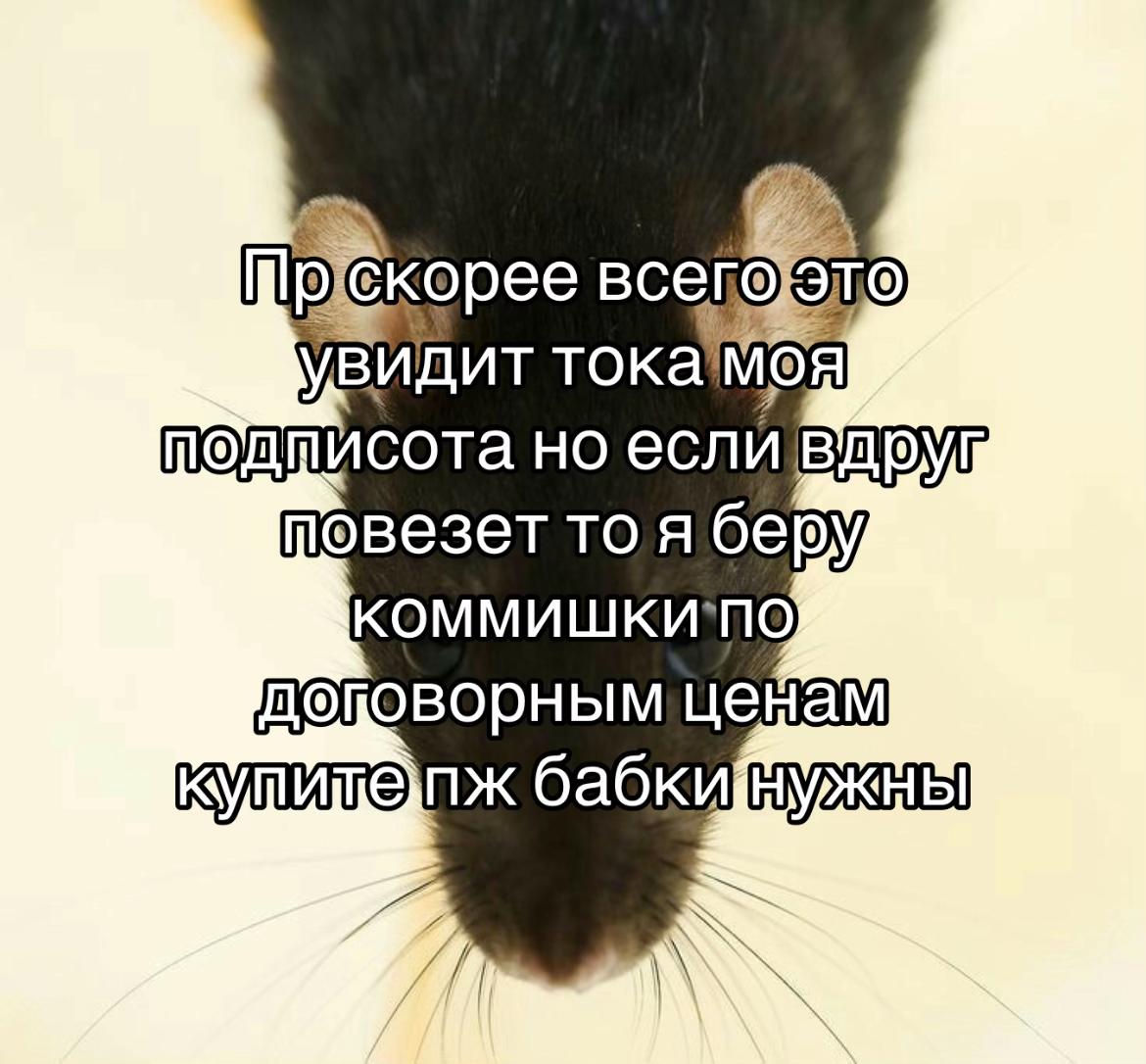 @@Почисток@