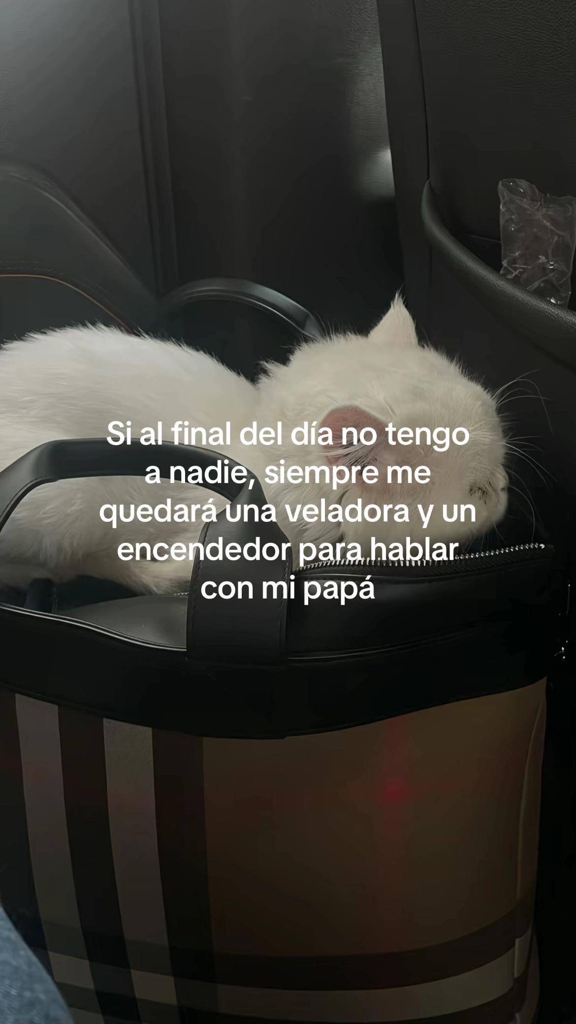 @;