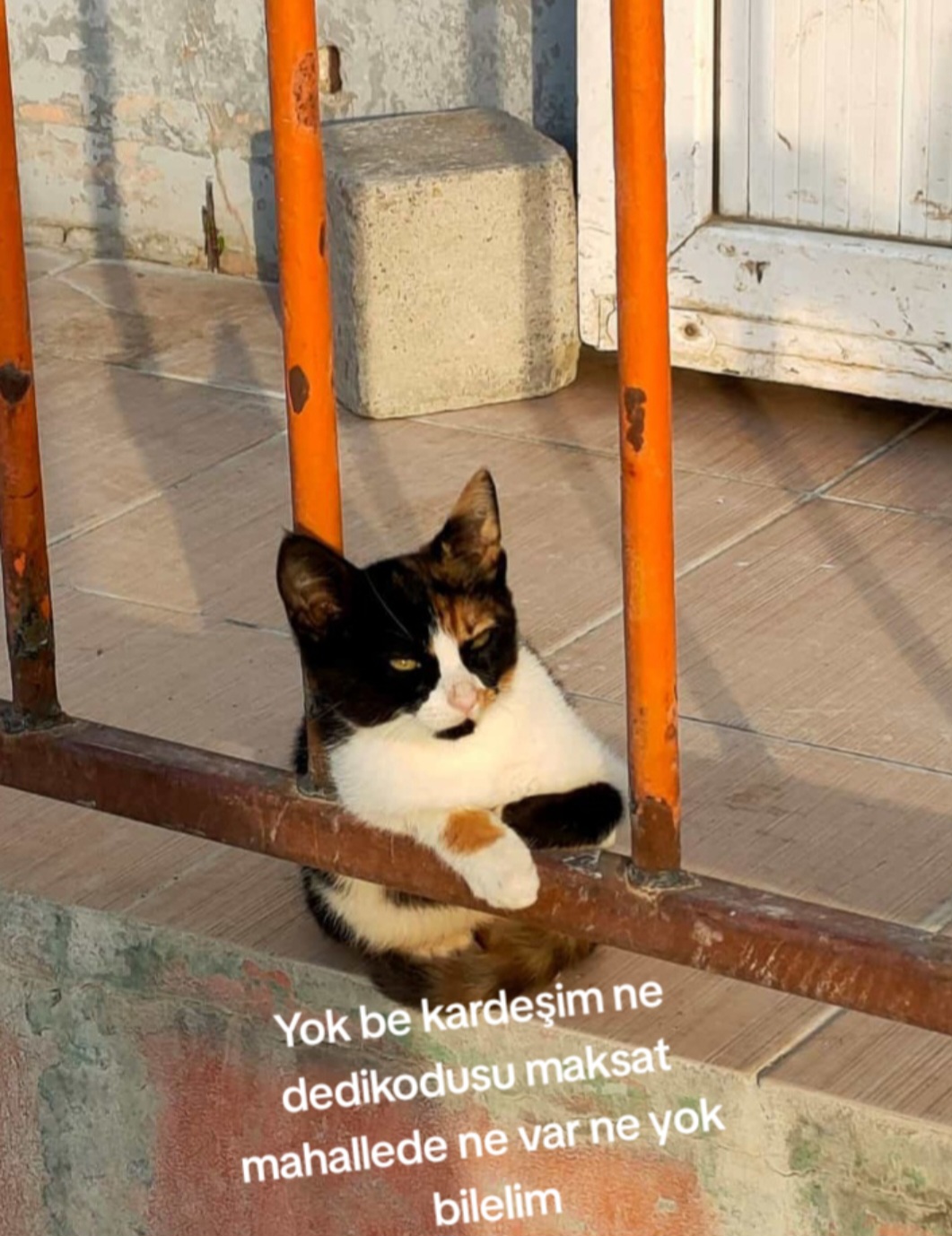 @Hüseyin