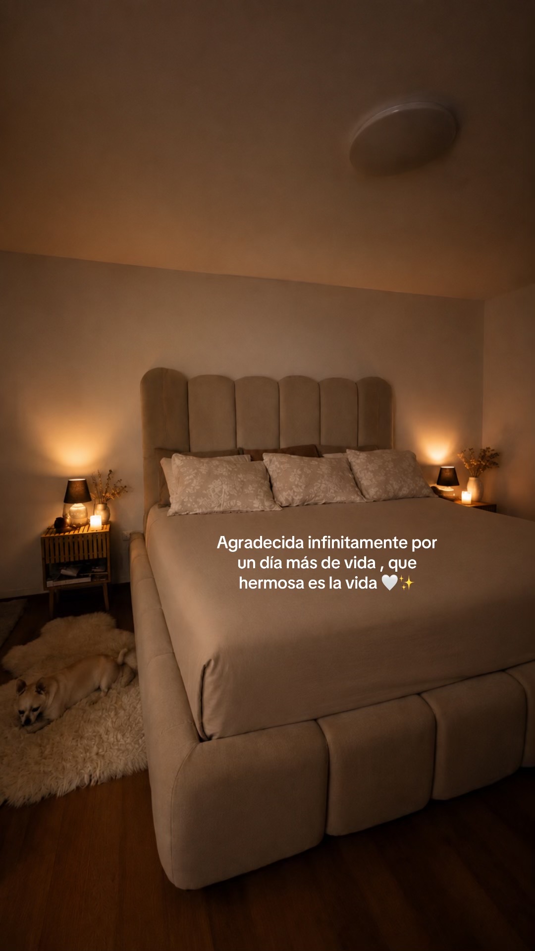 @Geraldine Álvarez