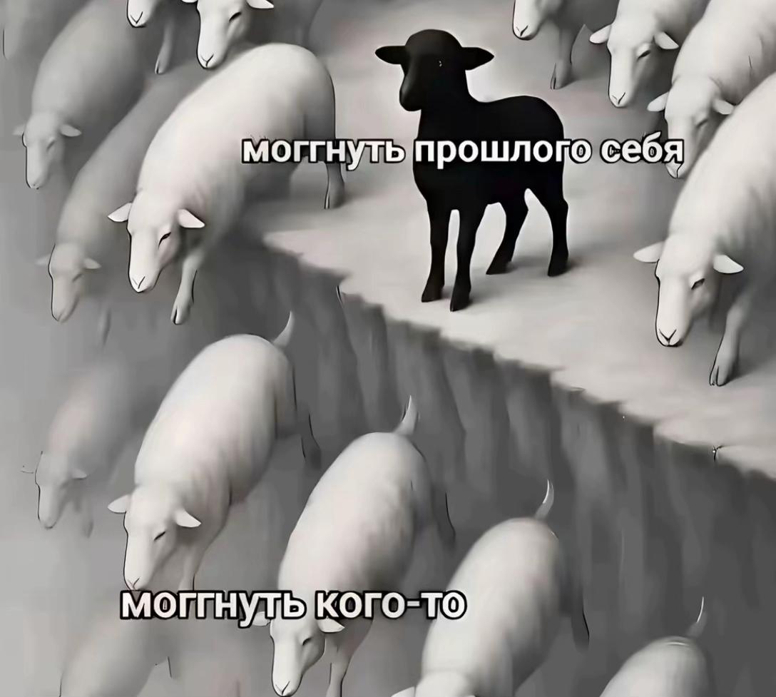 @TOPelita