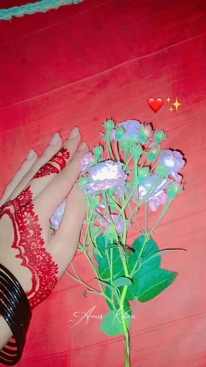 @™\🌹ÑÕÔR,Wãfa-R🙏🌹🆗