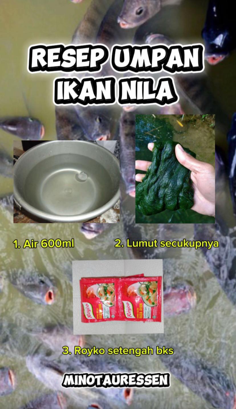 @MINOTAUR ESSEN MANCING