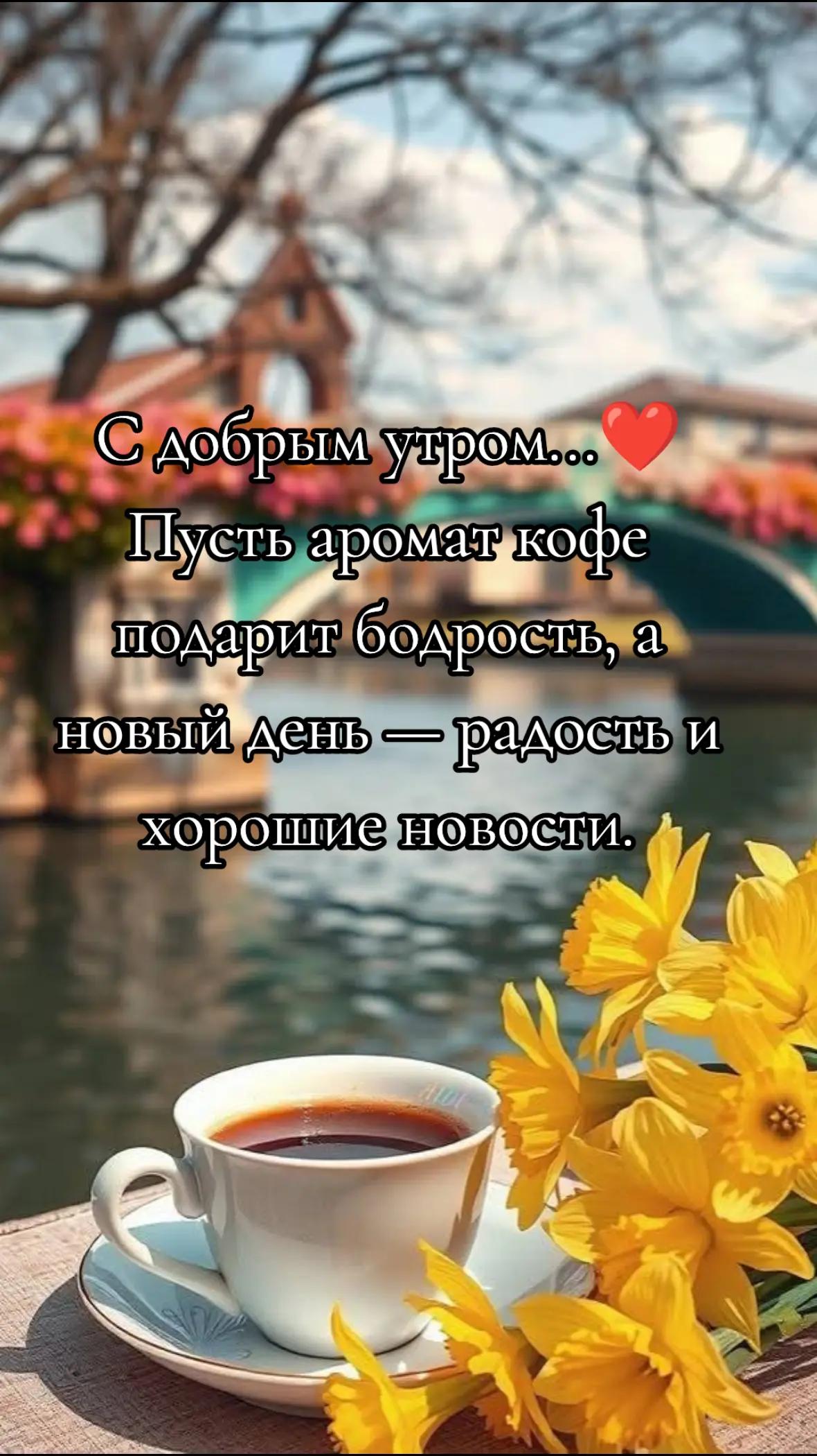 @Elza