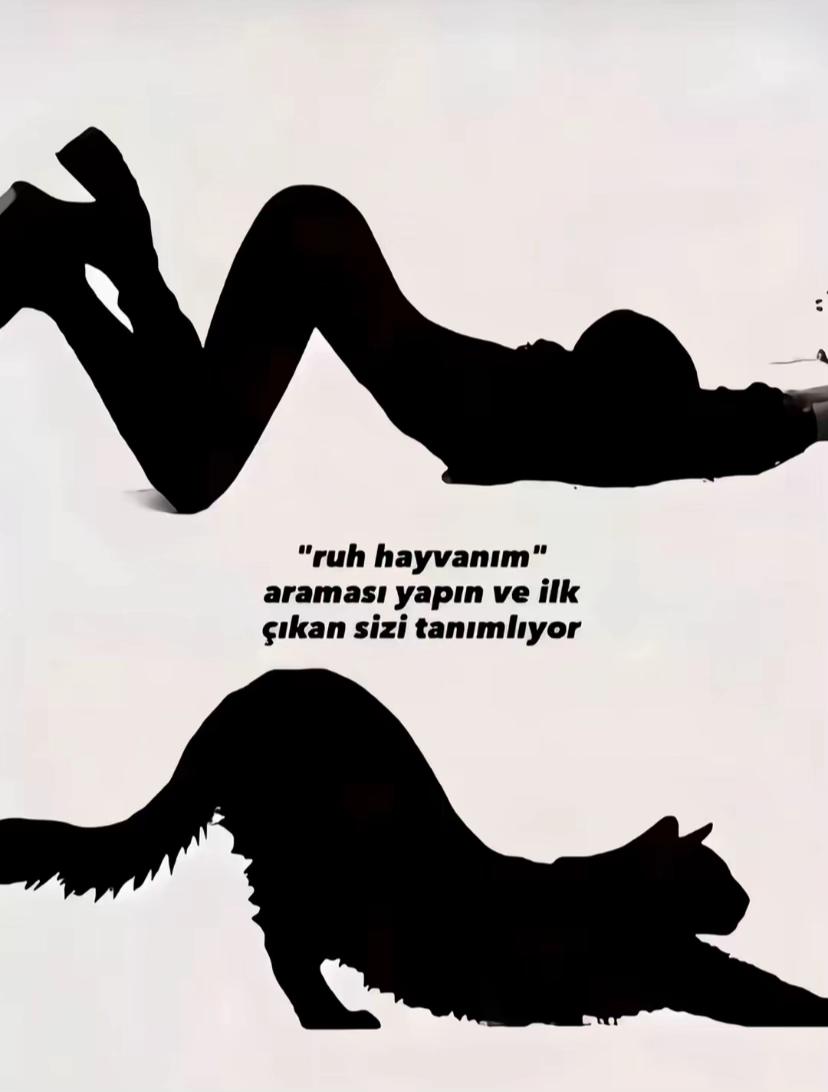 @Yağmur Kaya