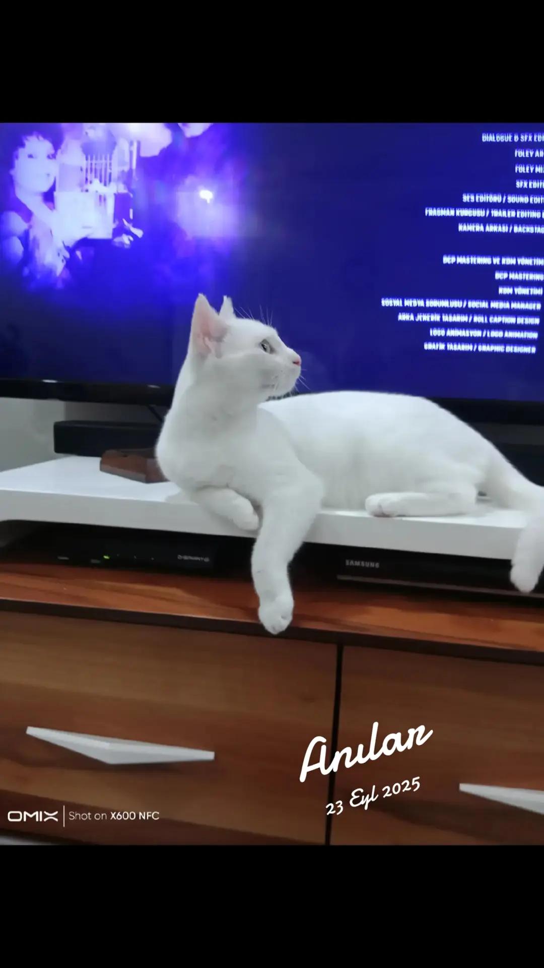 @Ali gül