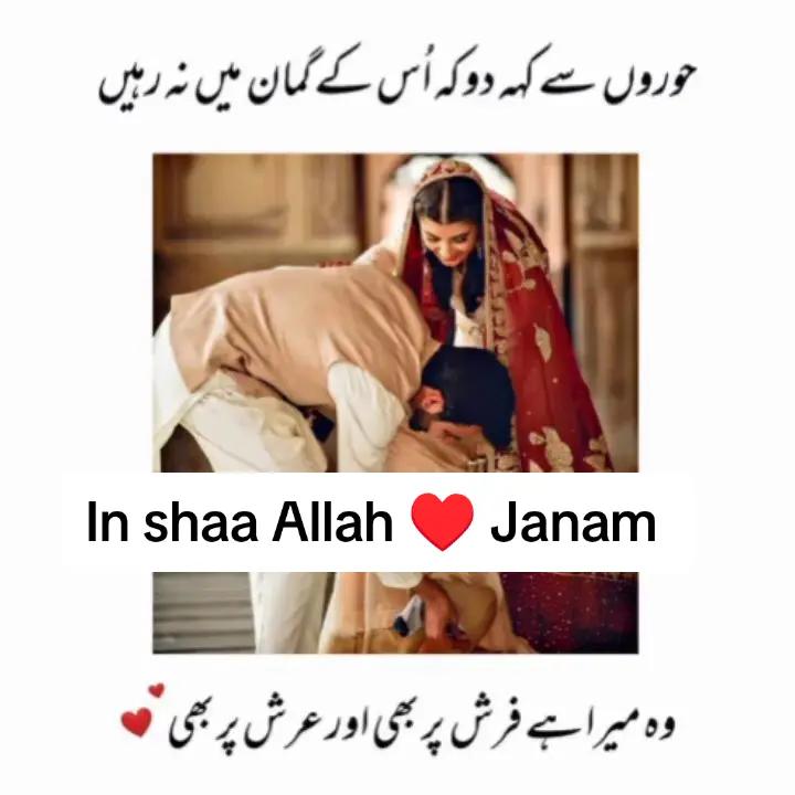 @Shafia❣️