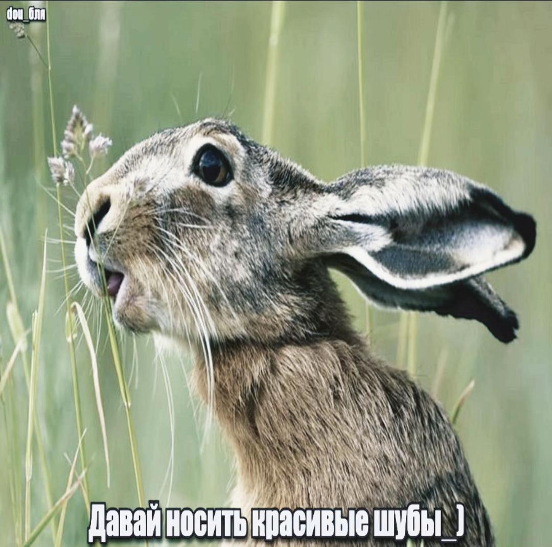@dou_бля
