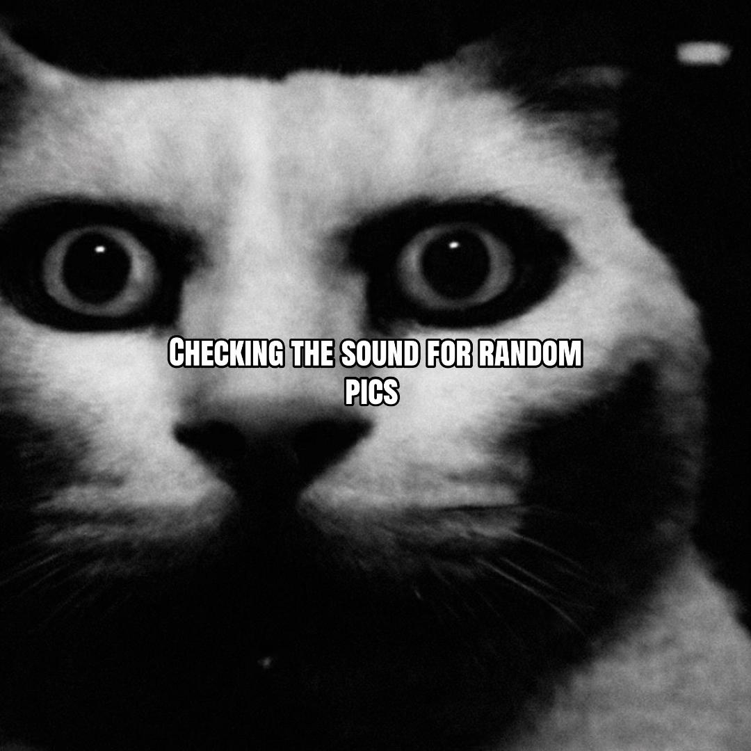 @Meow kitty