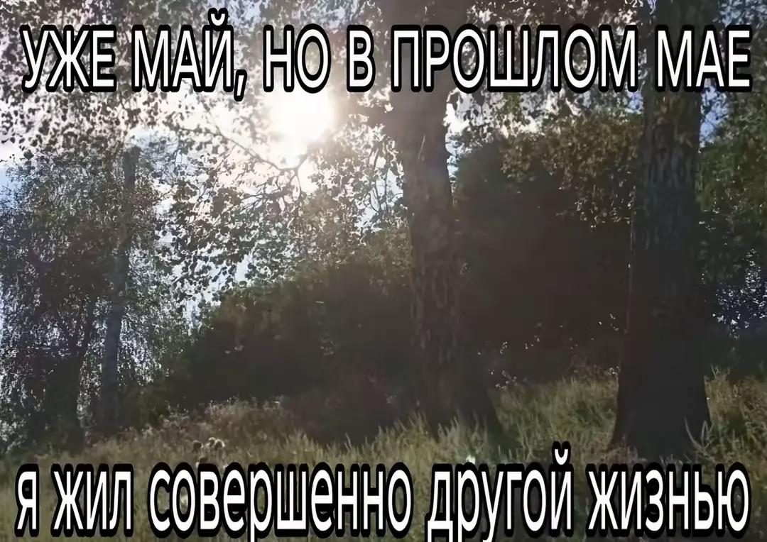 @Херуми святоша
