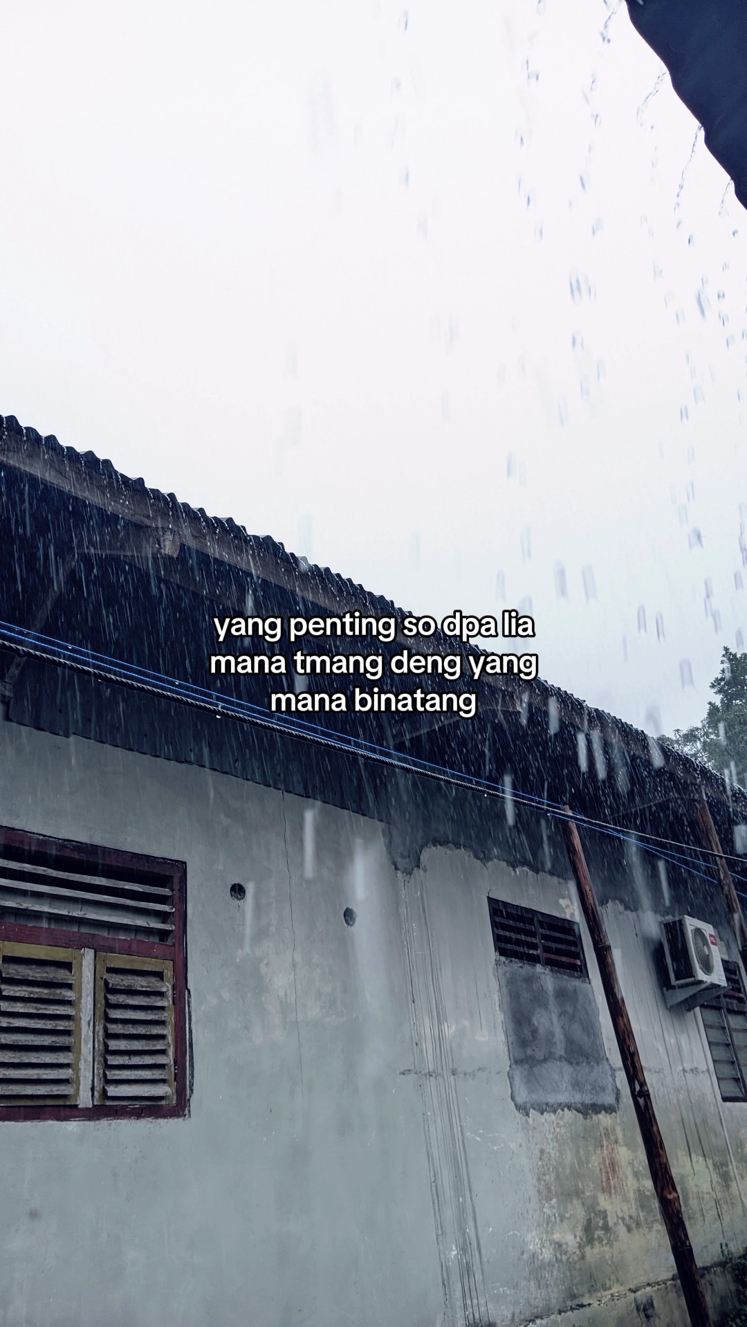 @jastinnih