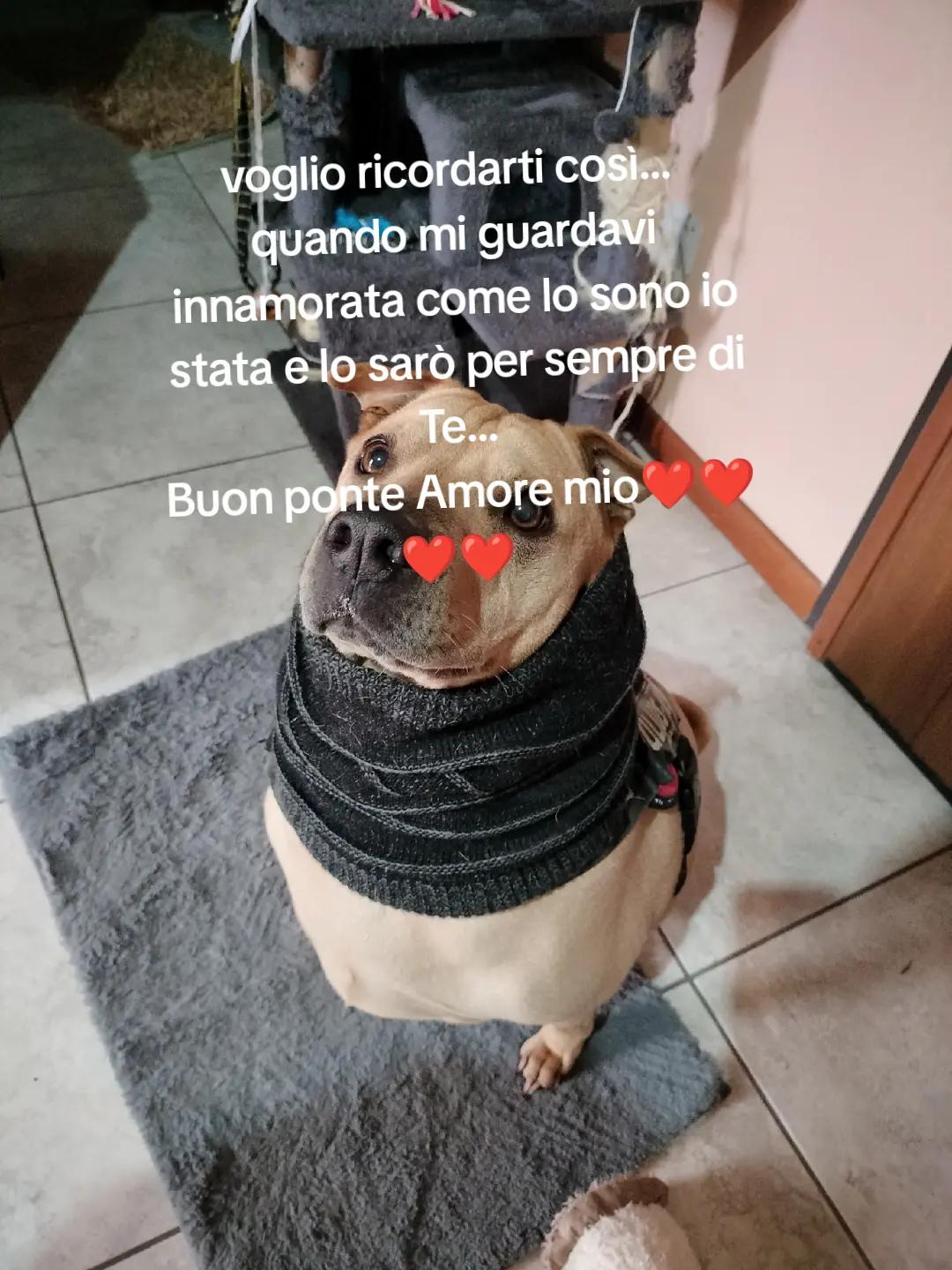 @❤️Marcella🌻