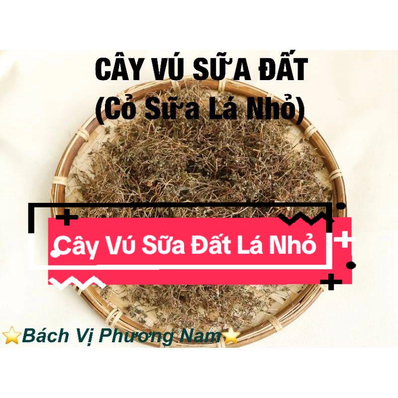 @B&Aacute;CH VỊ PHƯƠNG NAM