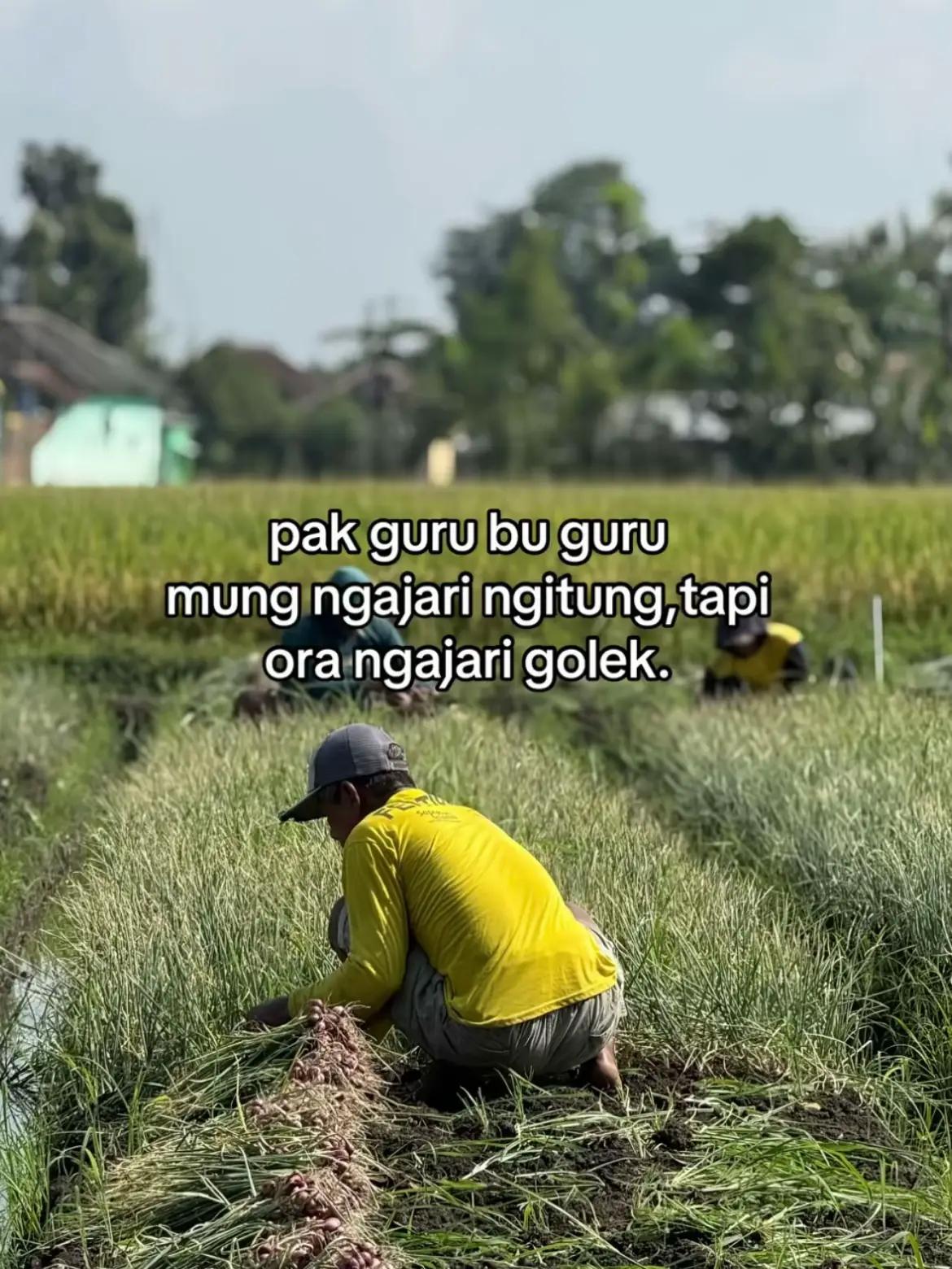 @SON๐