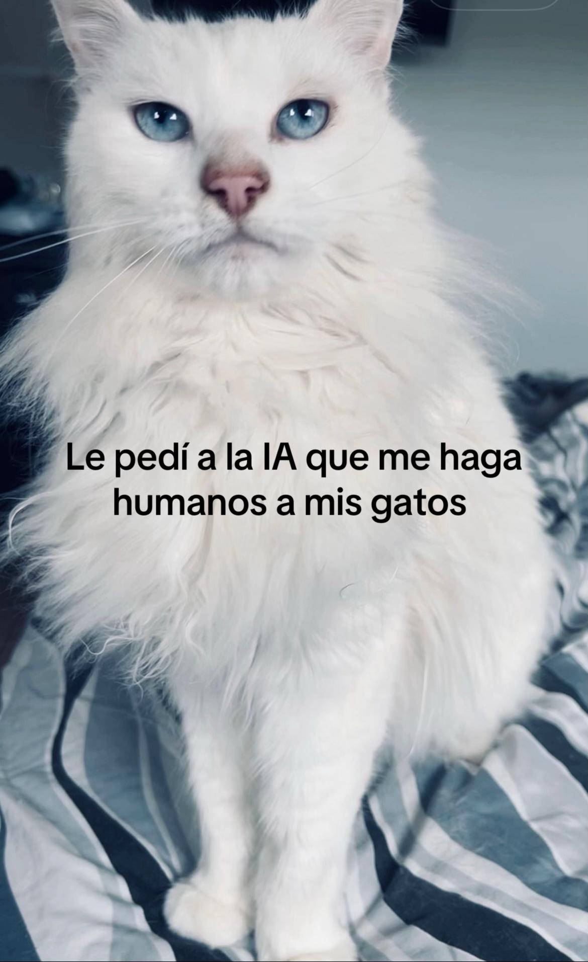 @Mariana Tibaldi