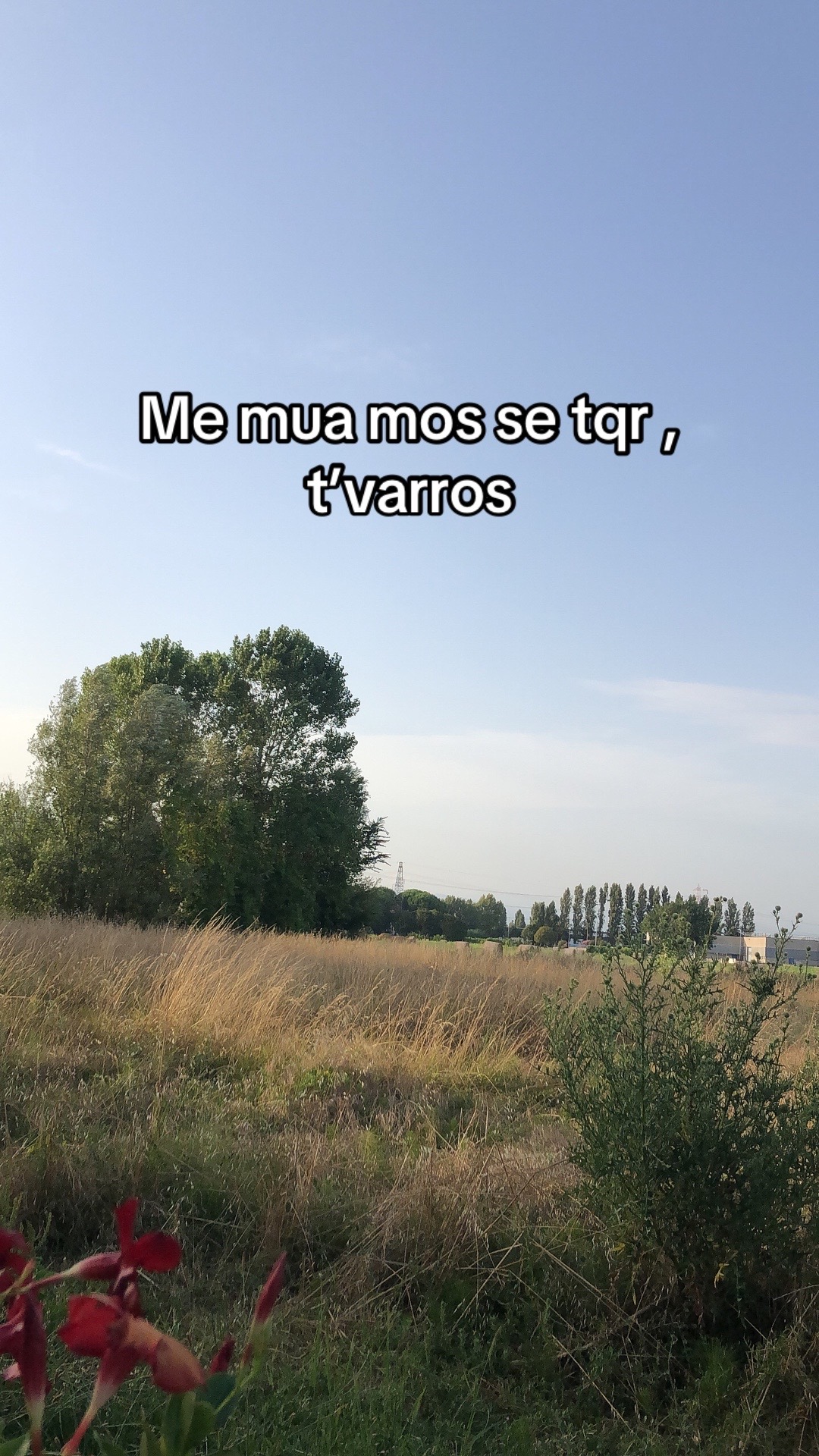 @elagrasi