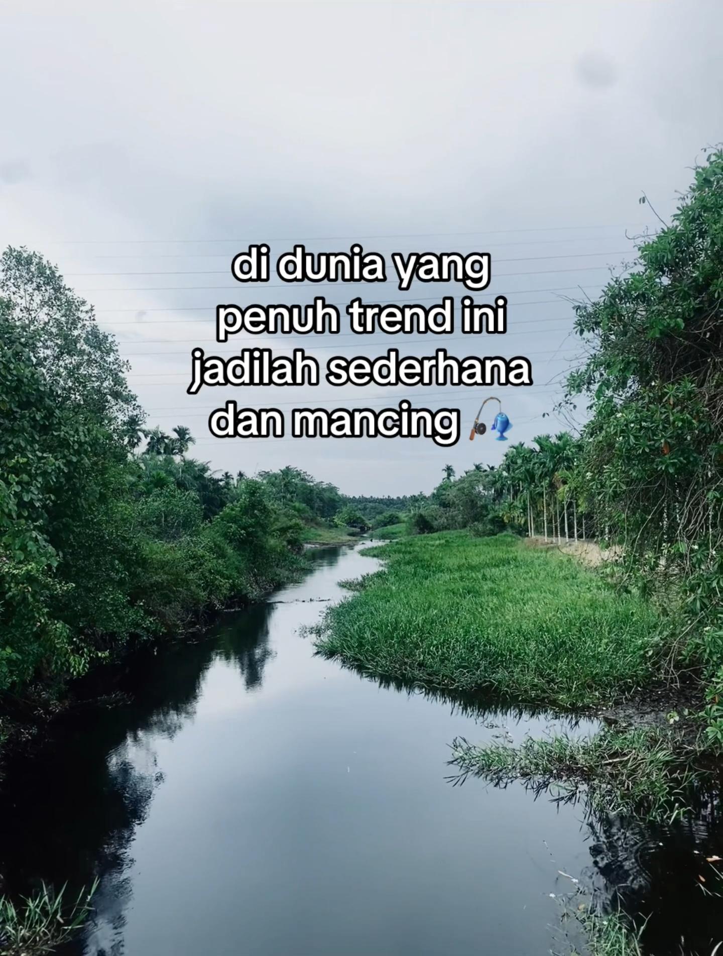 @Hi Linn