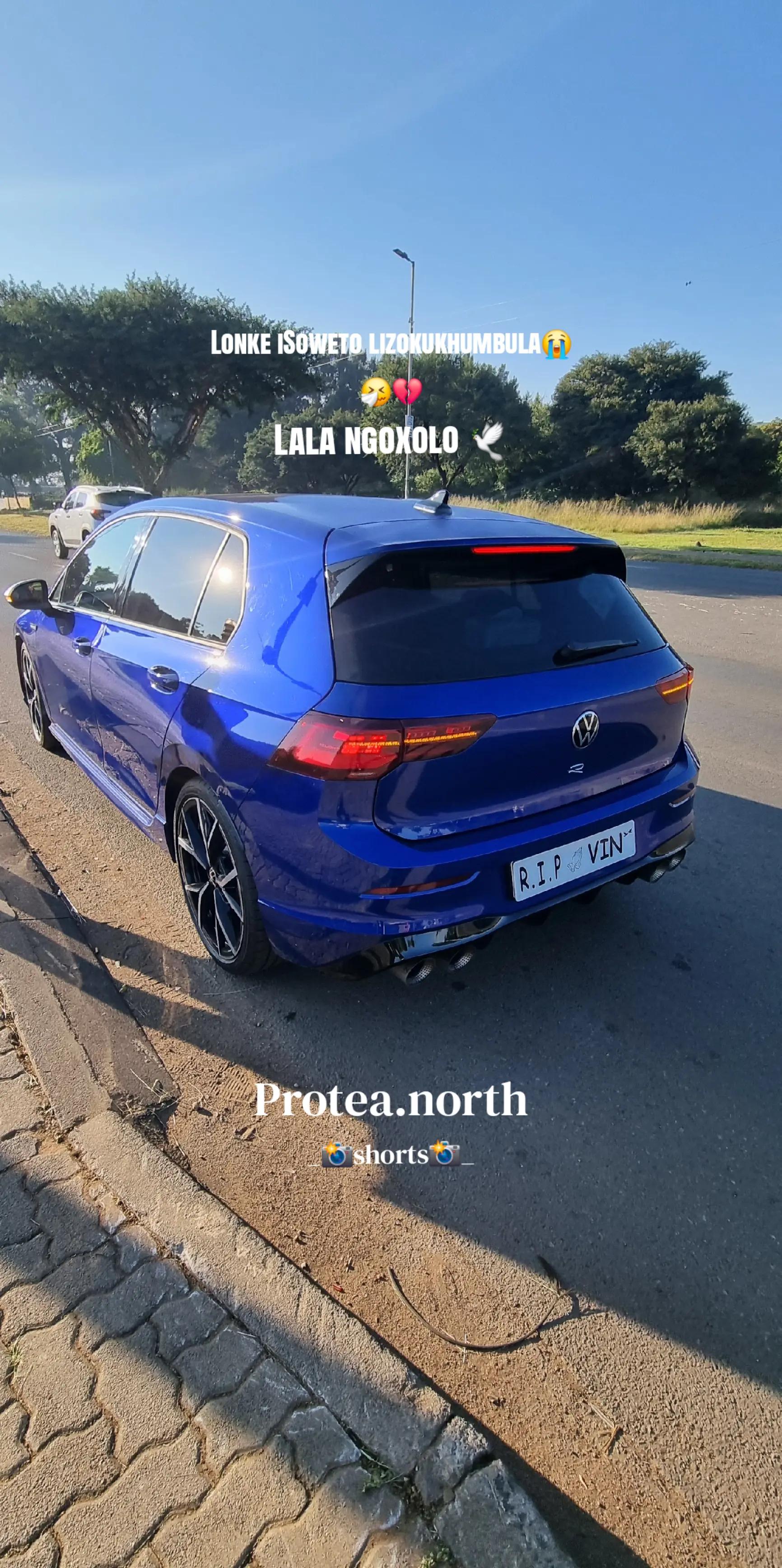 @Protea.north_shorts_