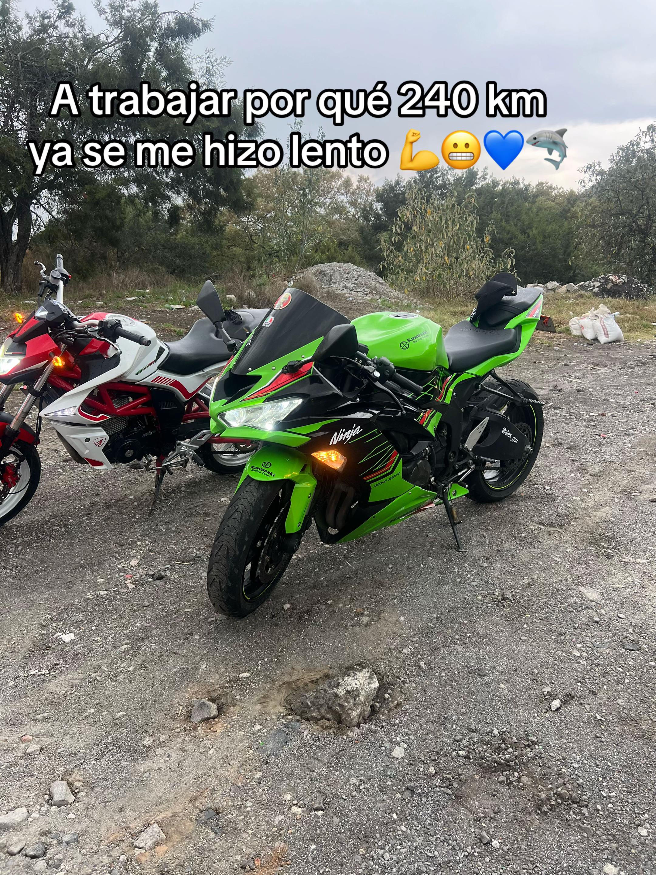 @Alex_gsrr