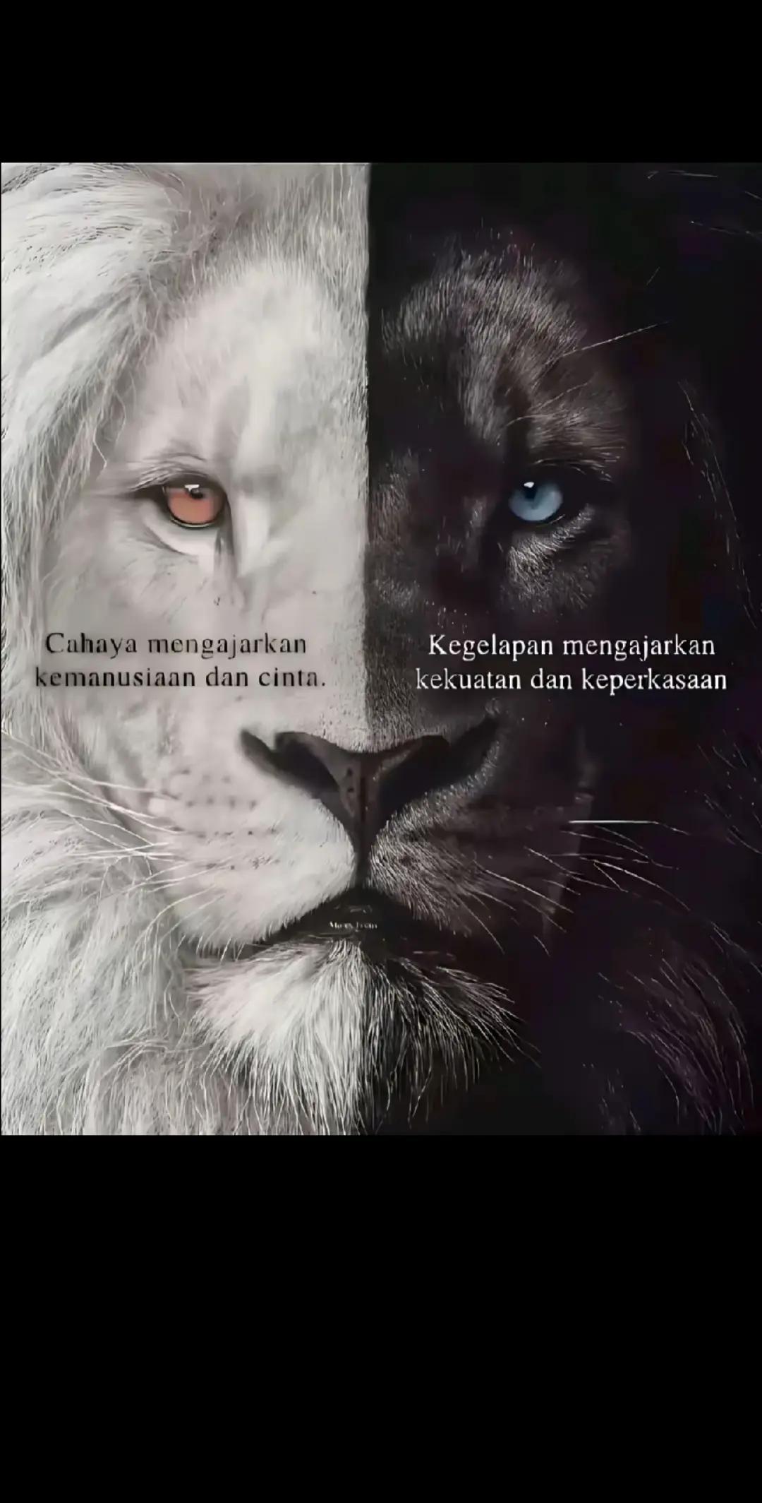 @Izaaaaaaaa