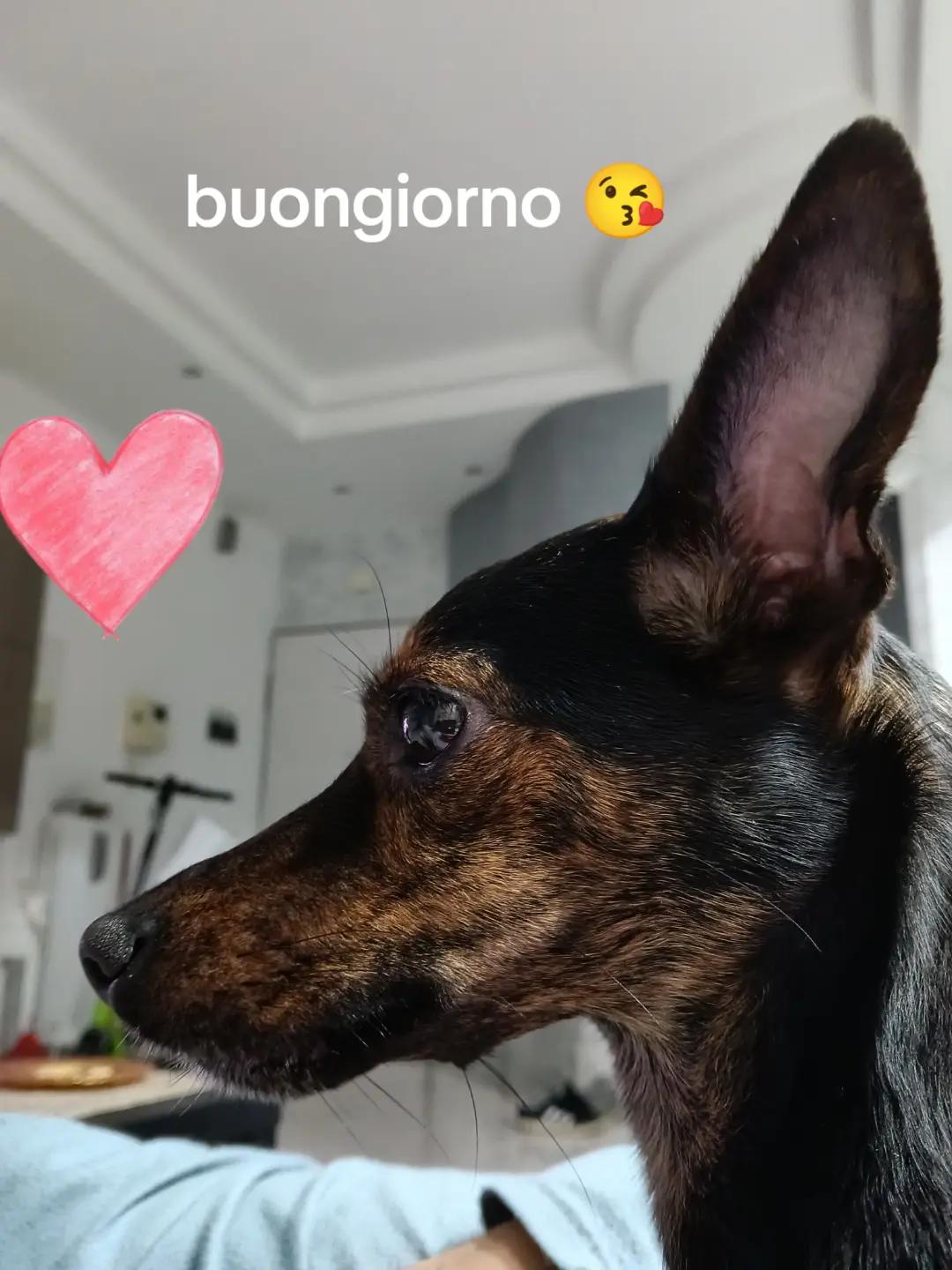 @mariaaaaaa
