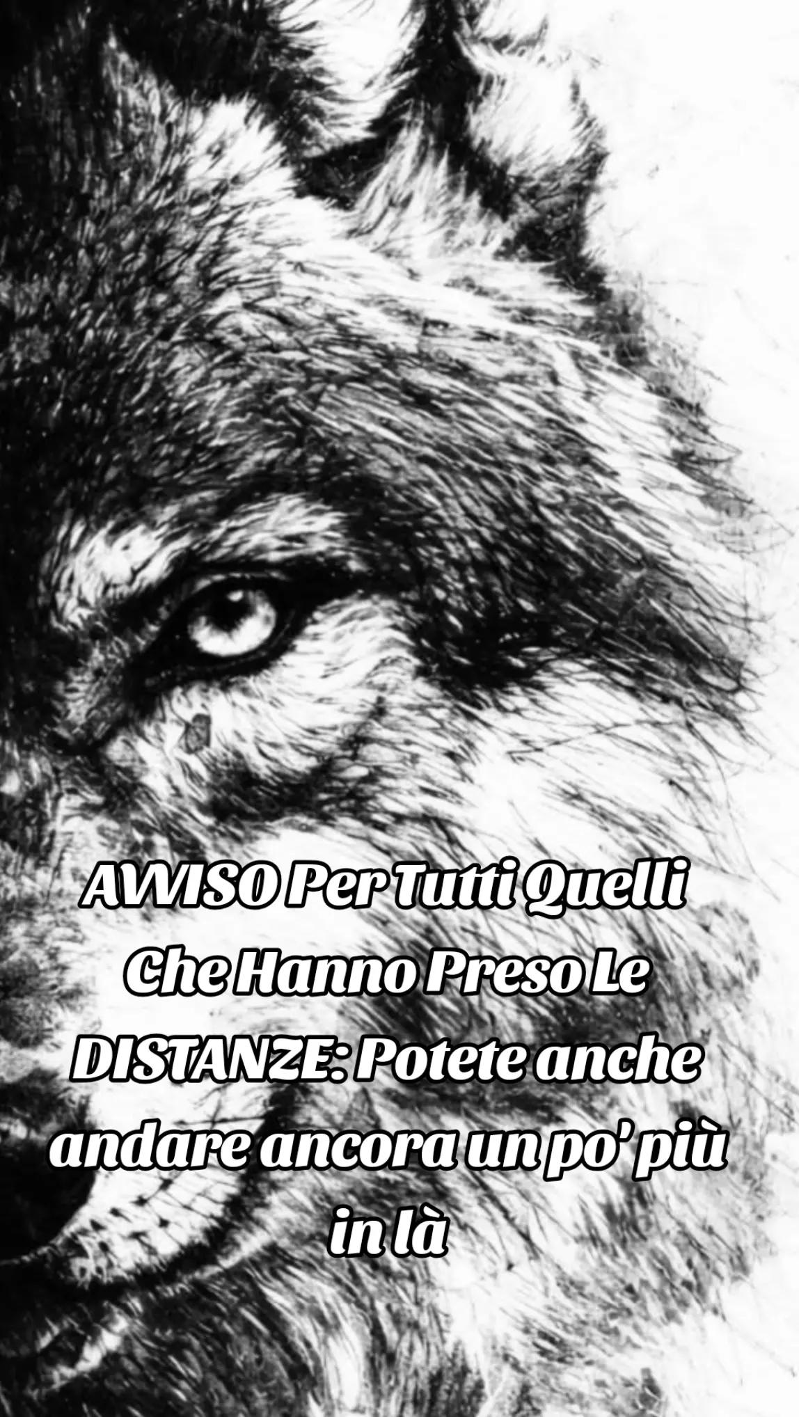 @๐บ๐ฝCrazy Wolf.