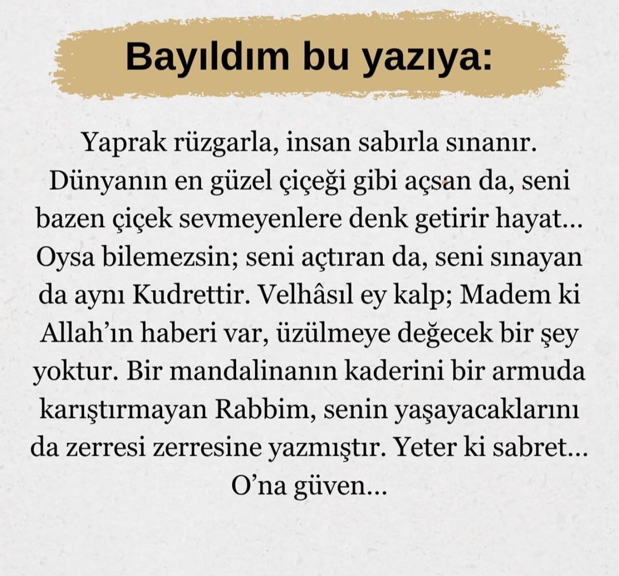 @🌻🇹🇷Reva🇩🇪🌻