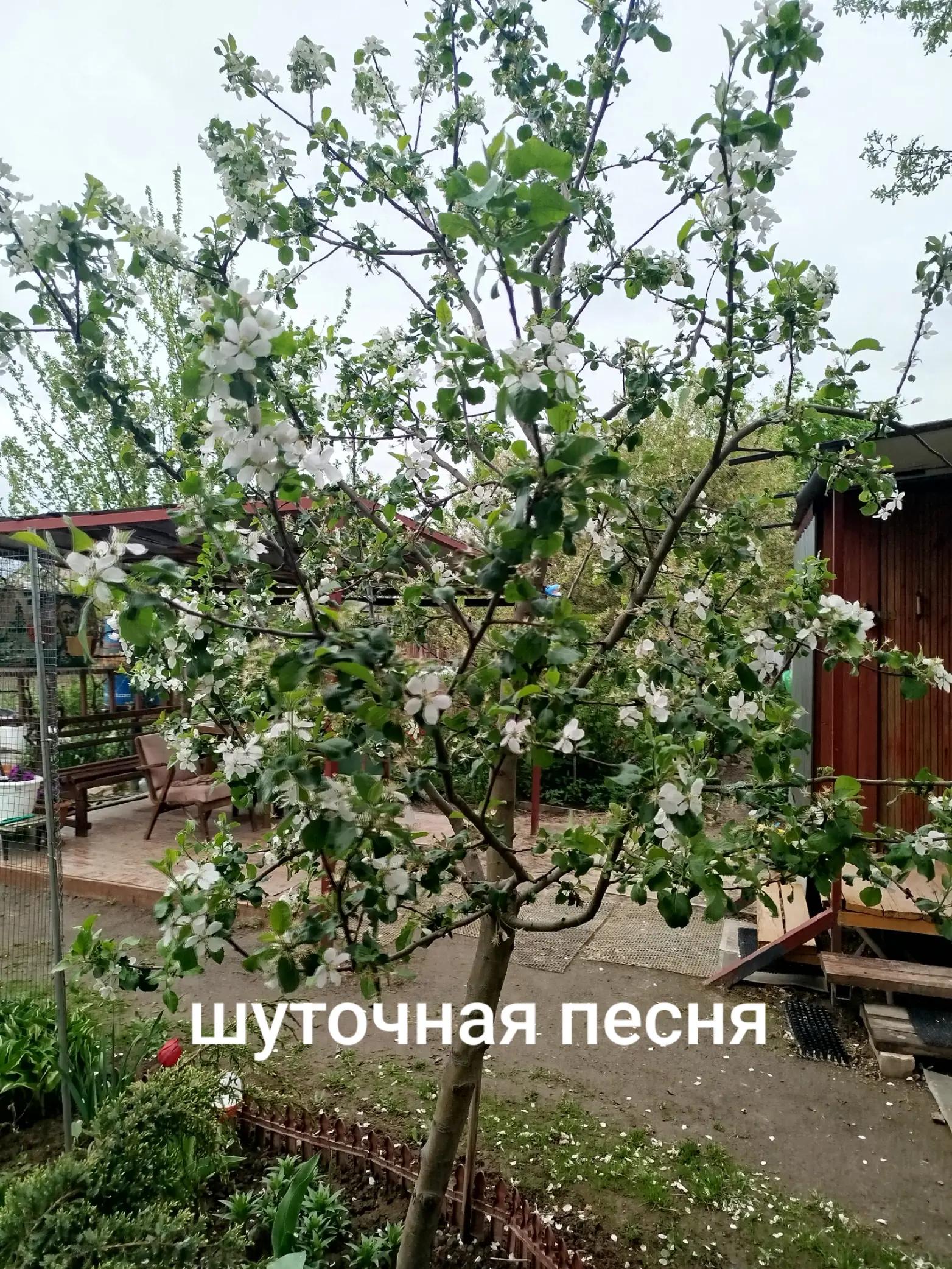 @Нина Лушникова
