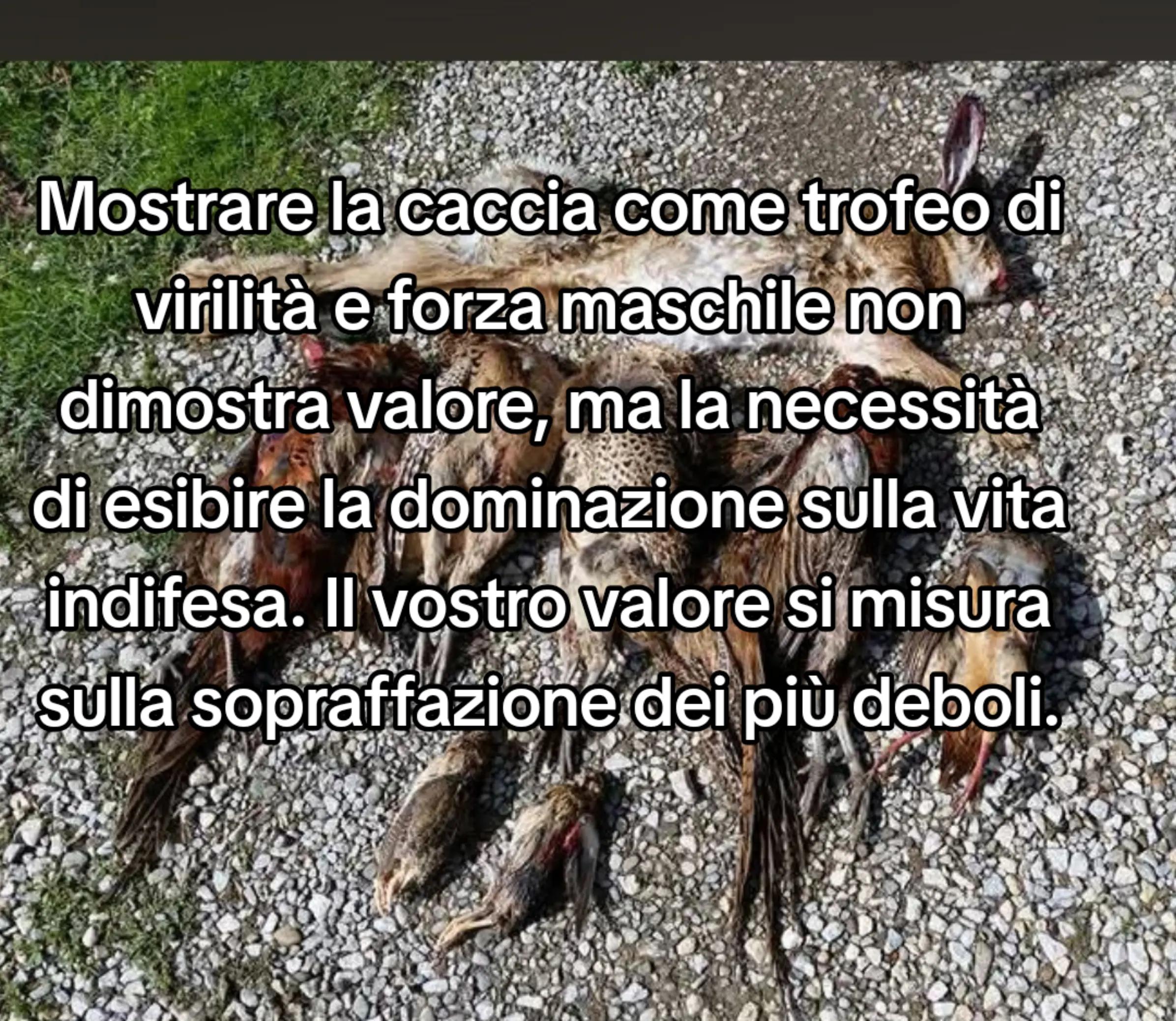 @Eleonora