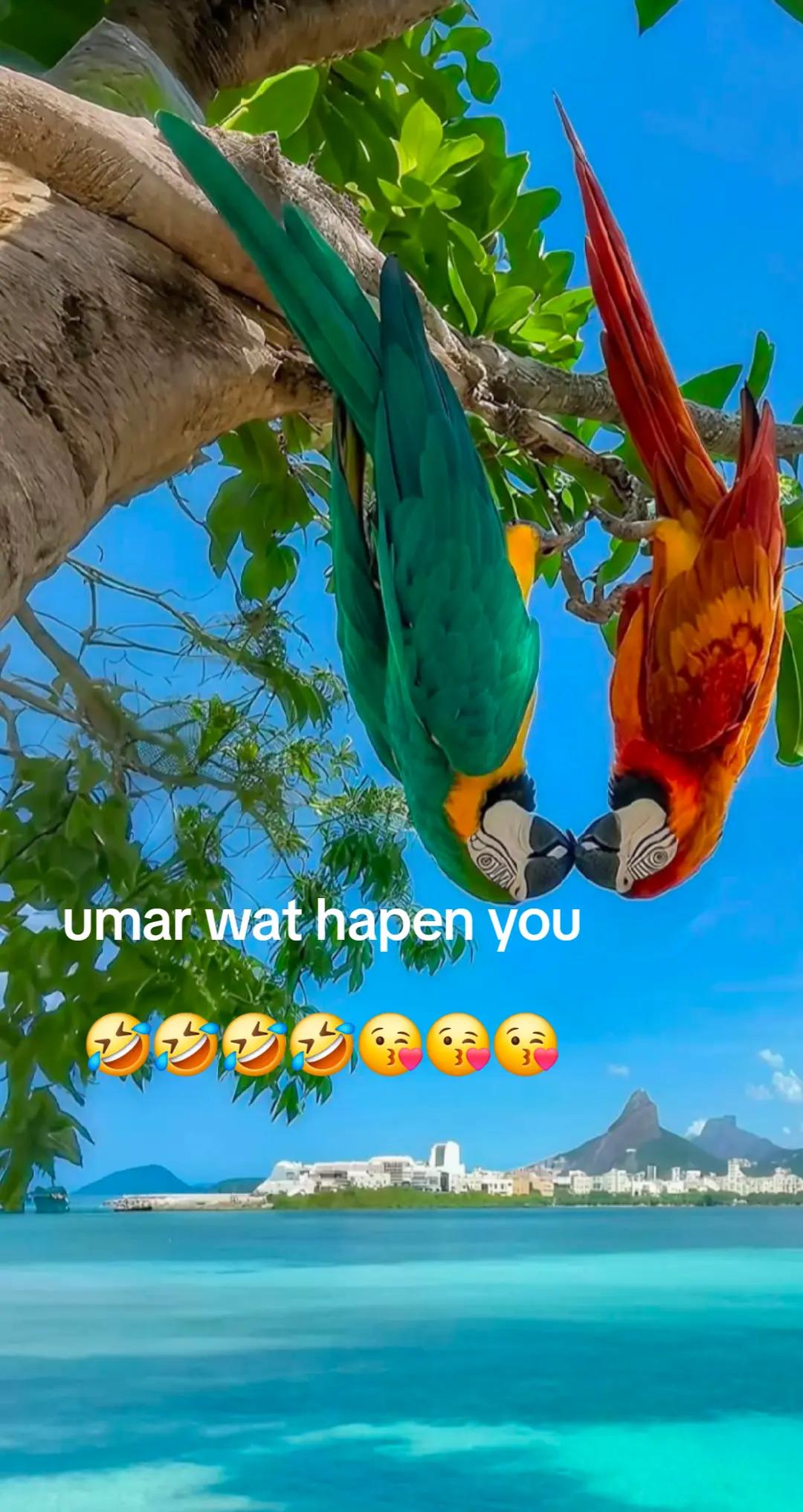 @🇩🇪🇪🇦valentina🏝 🍷🍌💃