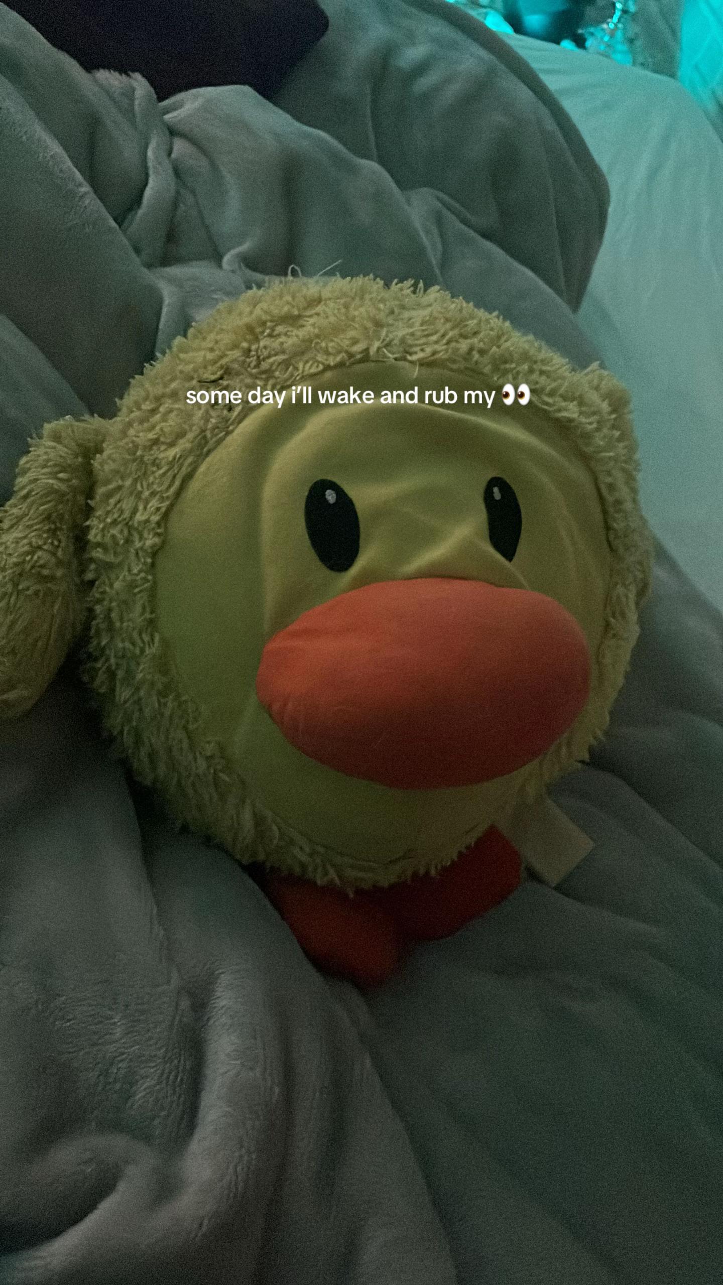 @๐โ๐ผ๐๐
