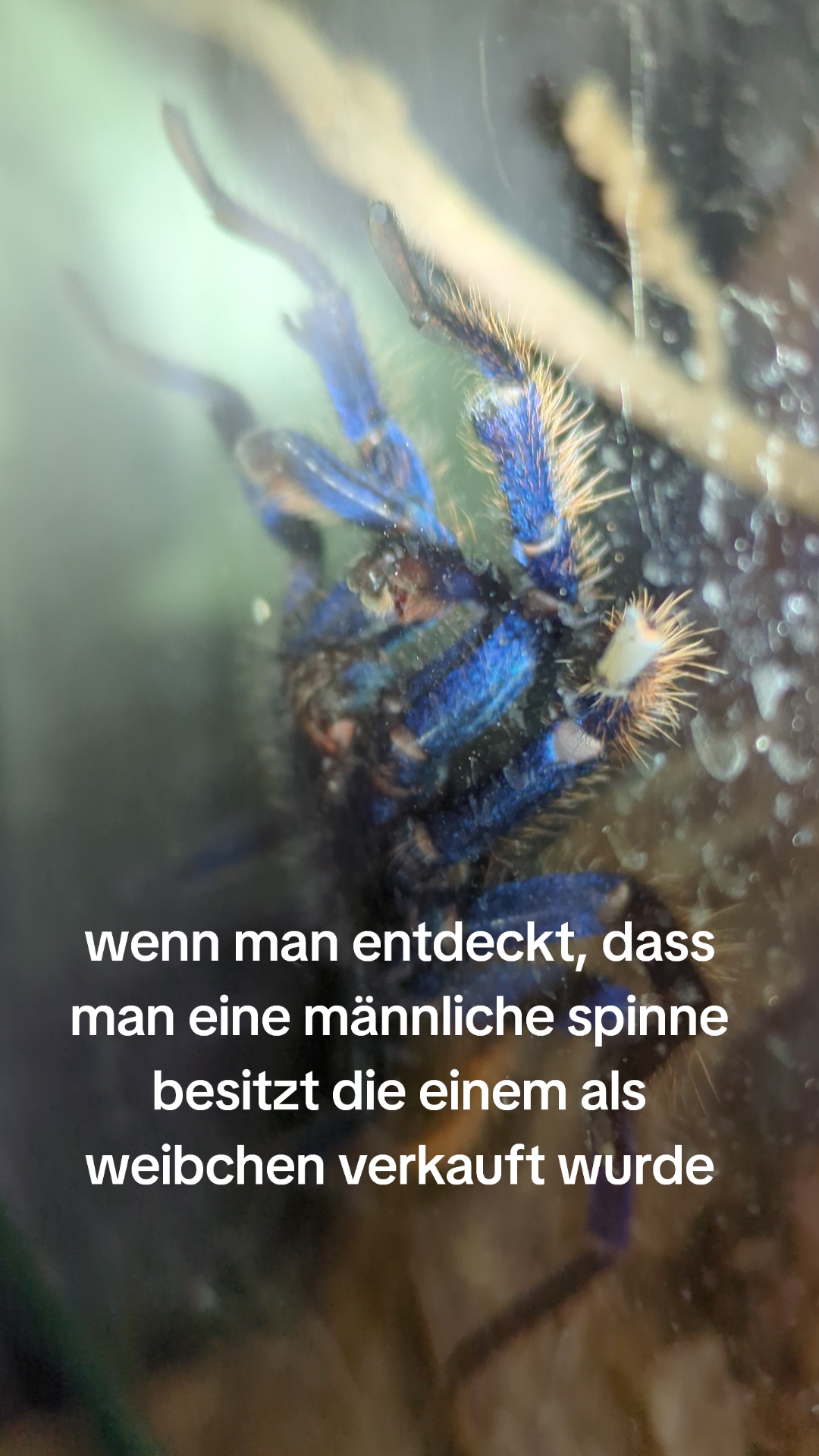 @Leon N&uuml;ndel 161