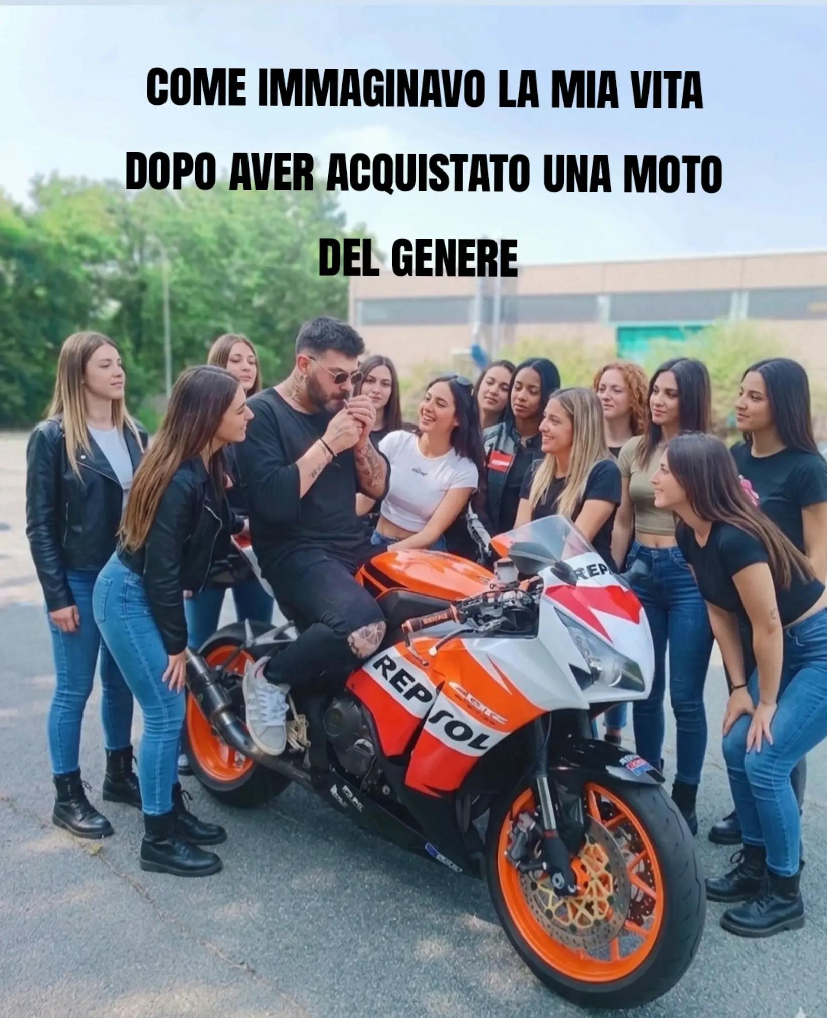 @iena white