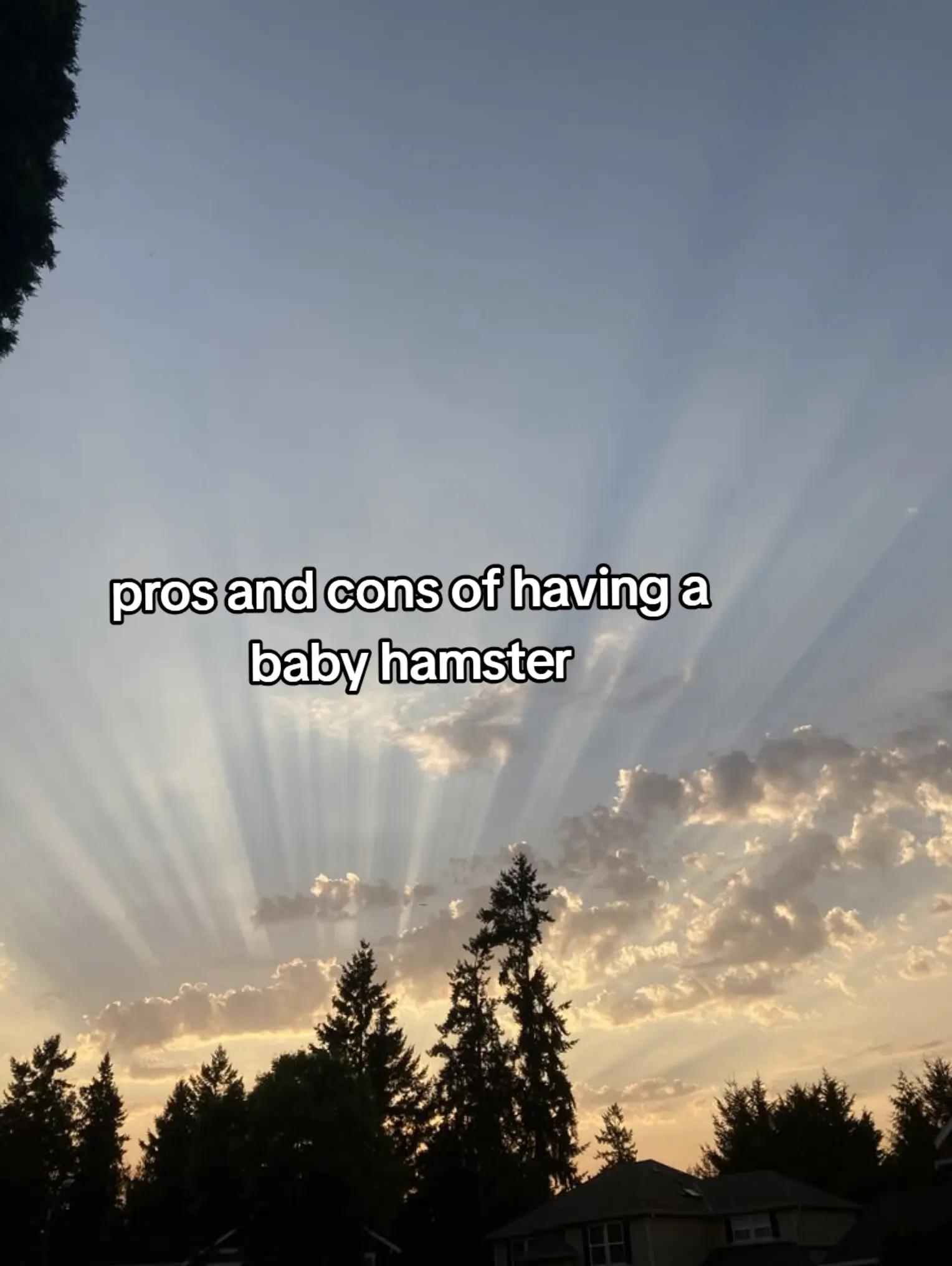 @𝓛  𝓔 𝓐