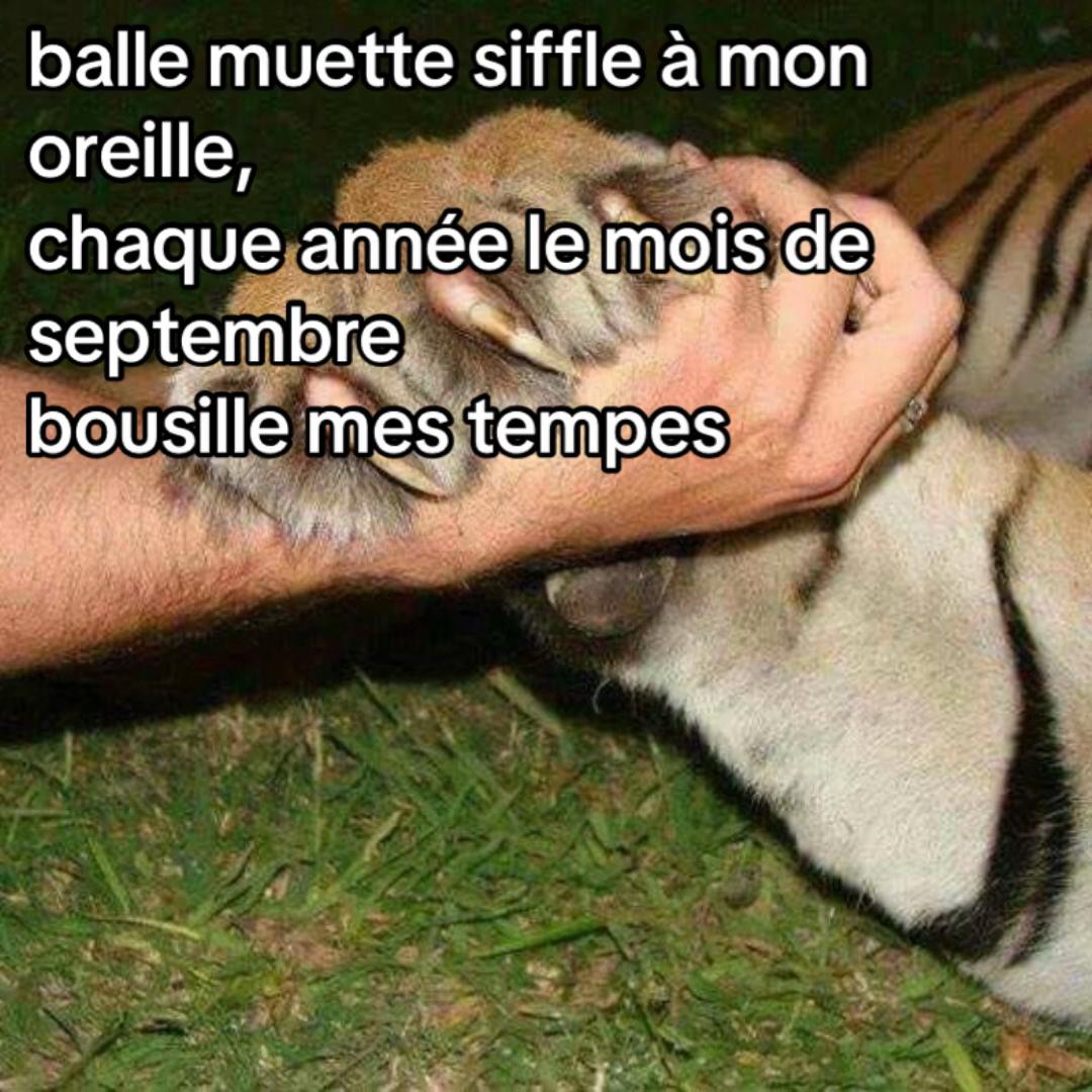 @Ag2SO4