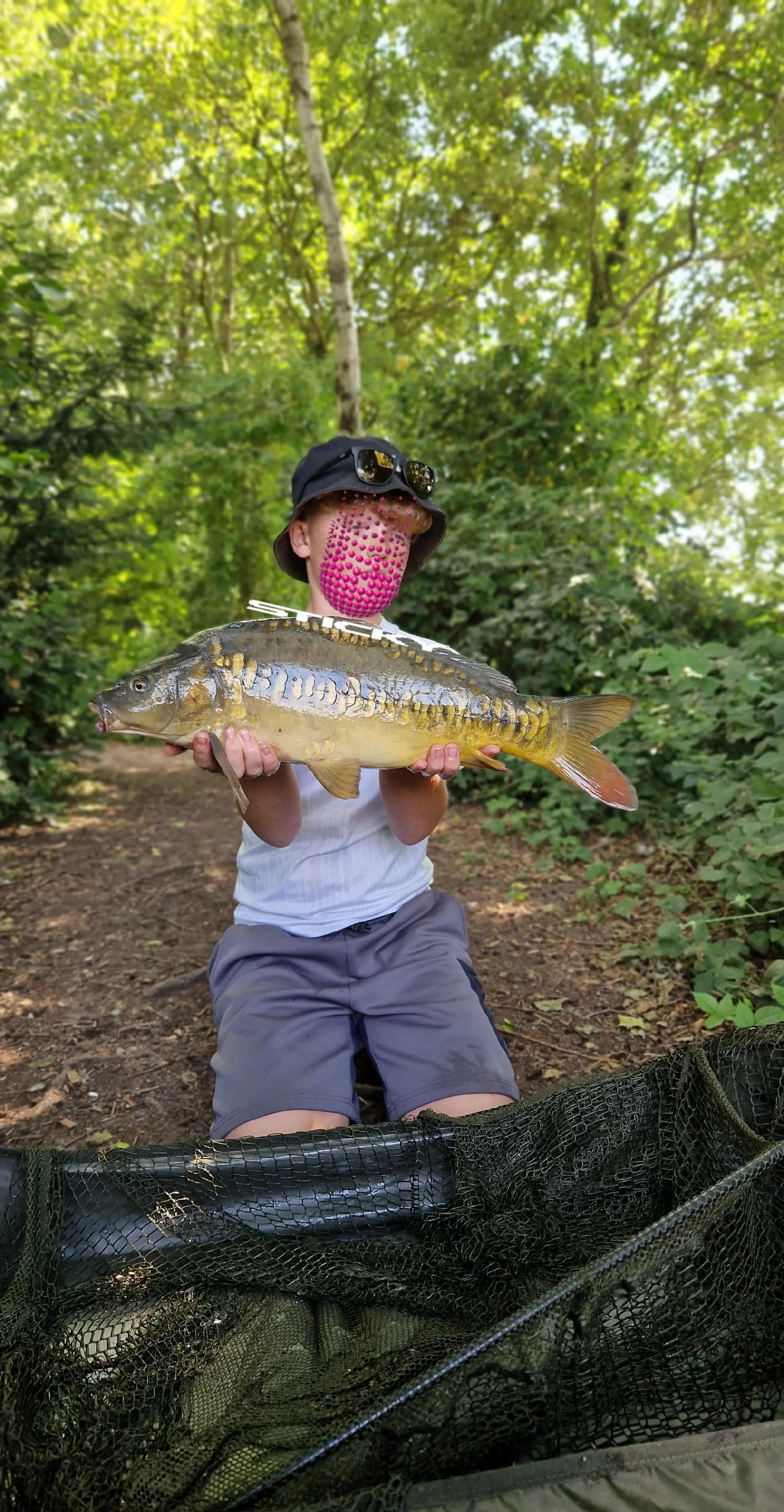 @Carpy Brez
