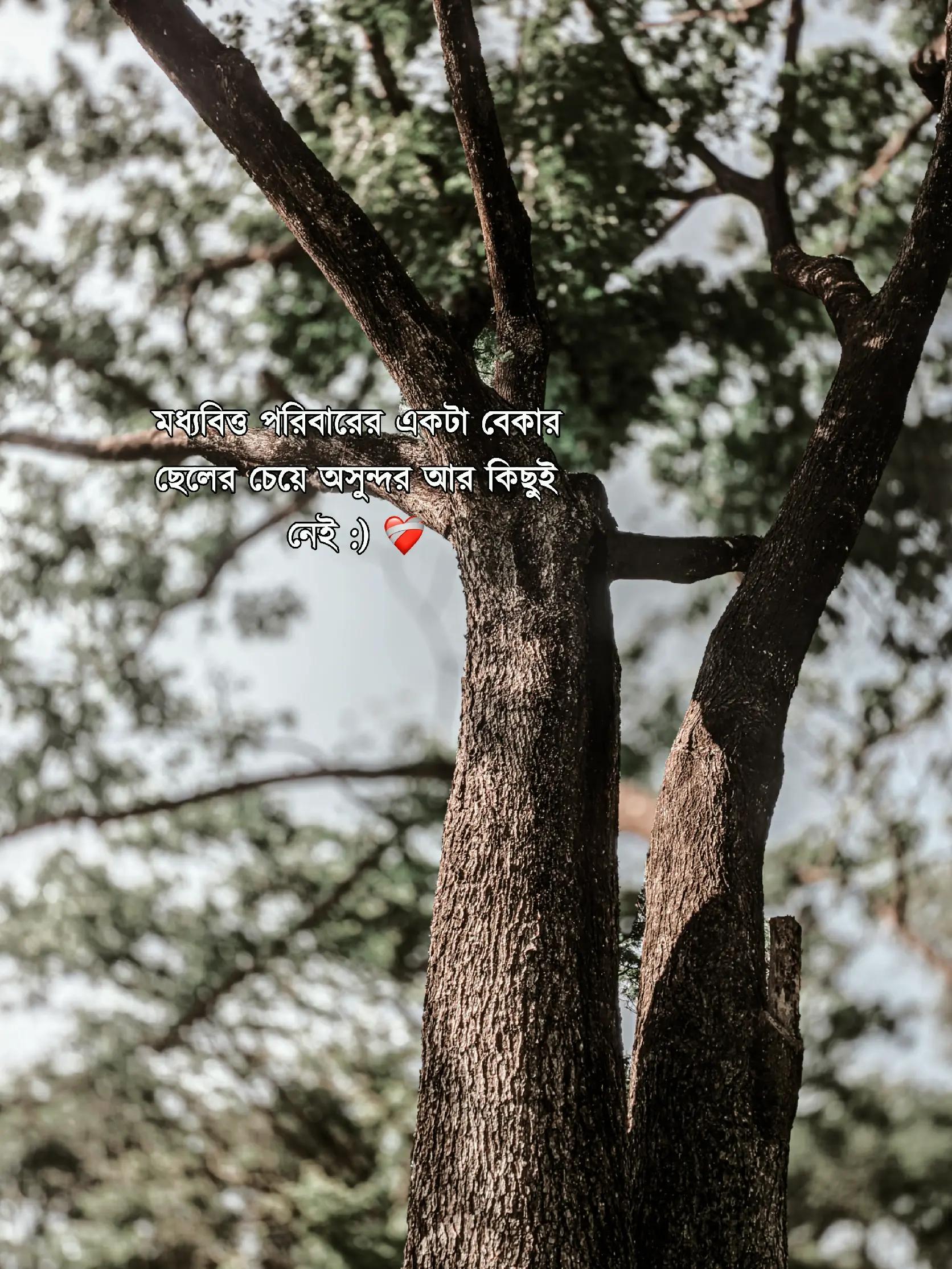 @&mdash;͞ʙᴏsᴏꪀ  !&iexcl;