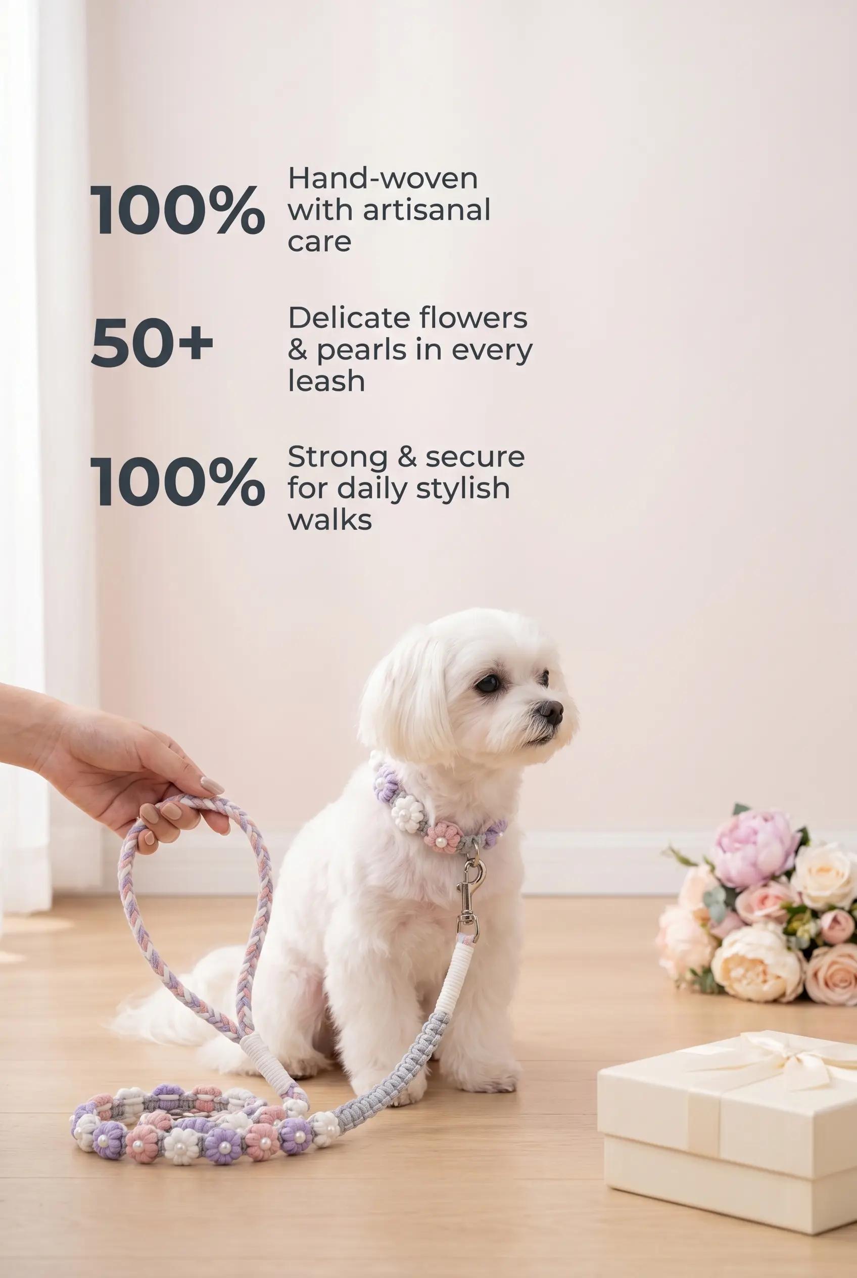 @Wellness for Pet