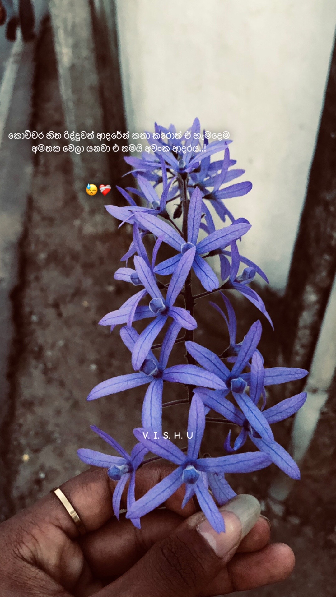@𝐕 𝐢 𝐒 𝐡 𝐔 𝐮 🪬