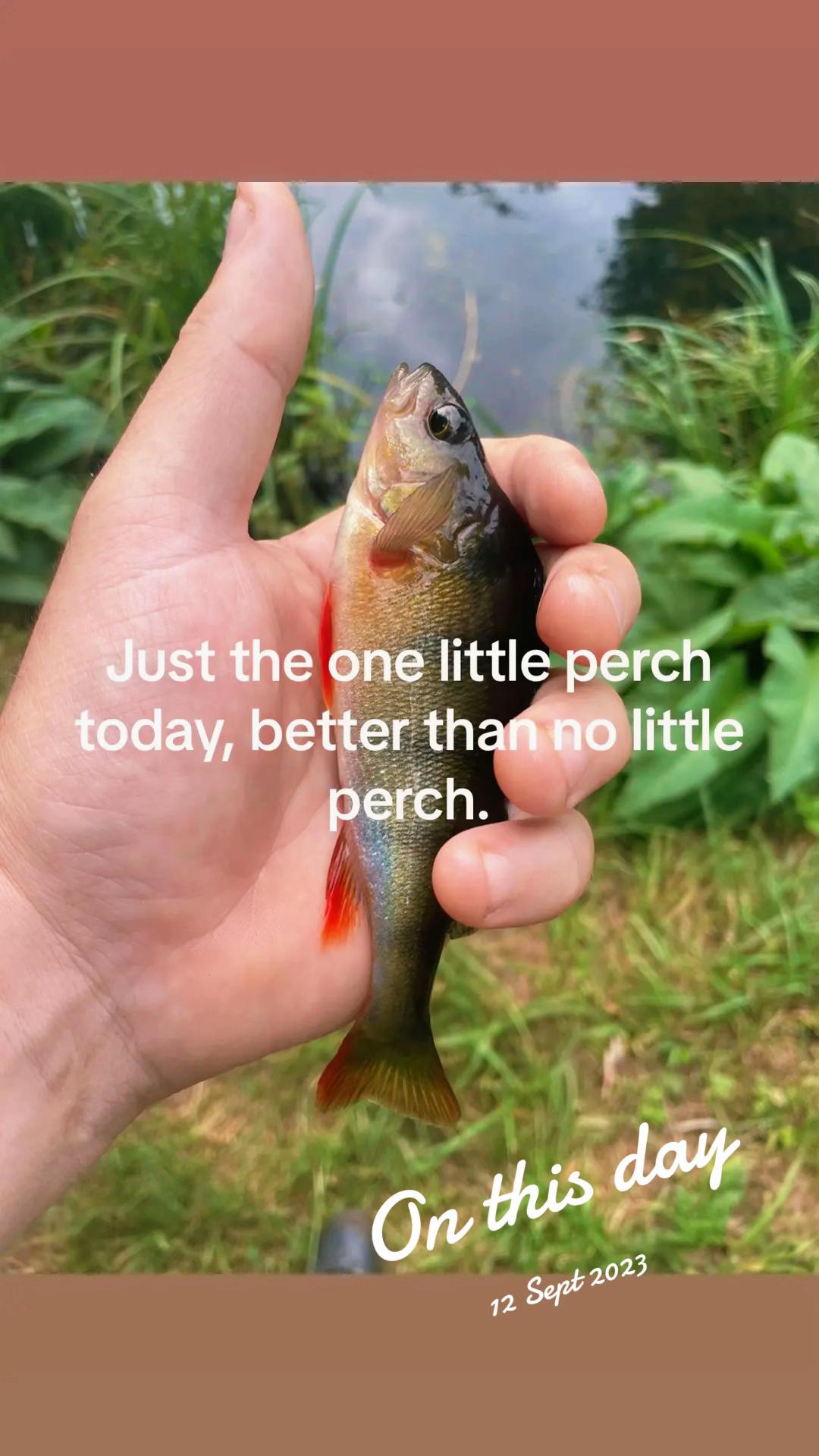 @Mental elf fishin