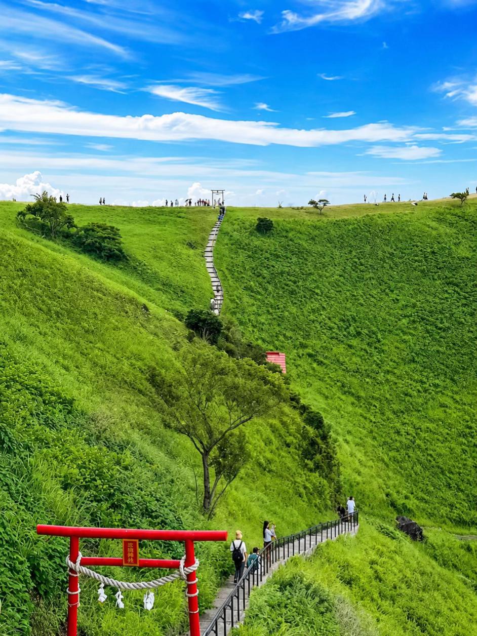 @日本包车-商导