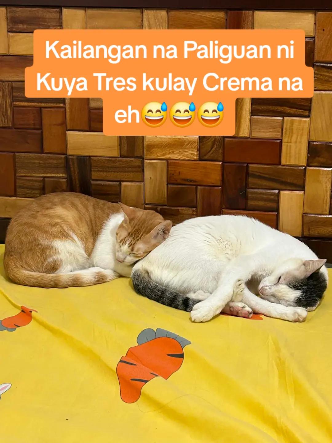 @inday alicia