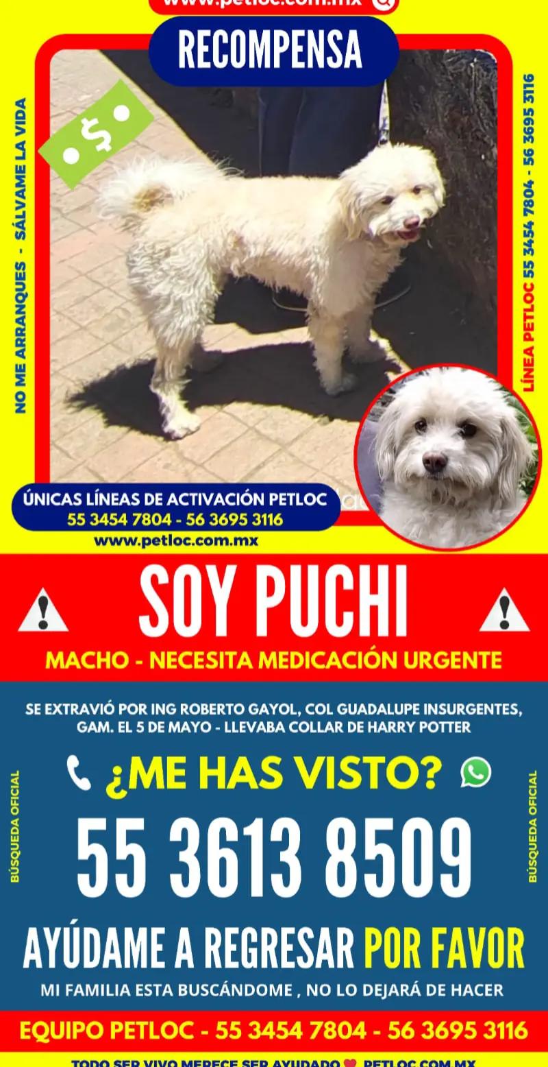 @Susi McFly
