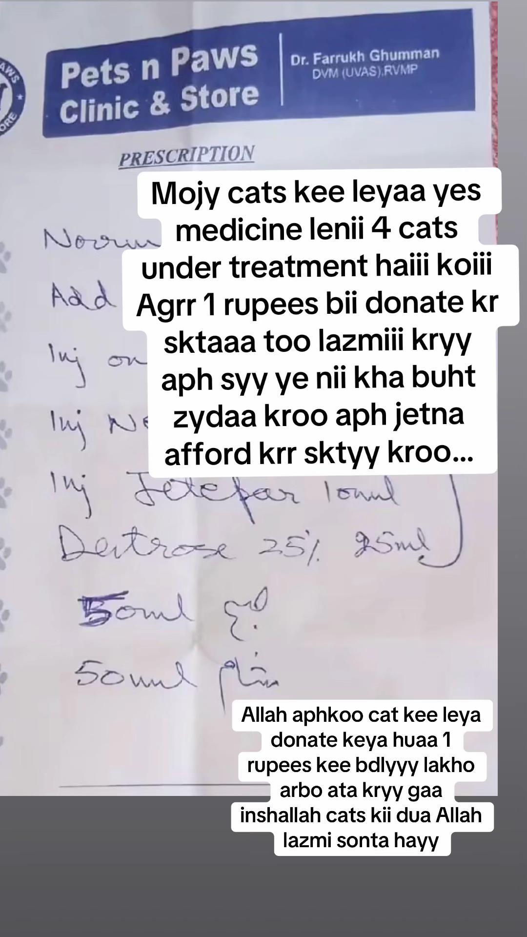 @mirha.donate.for.cat